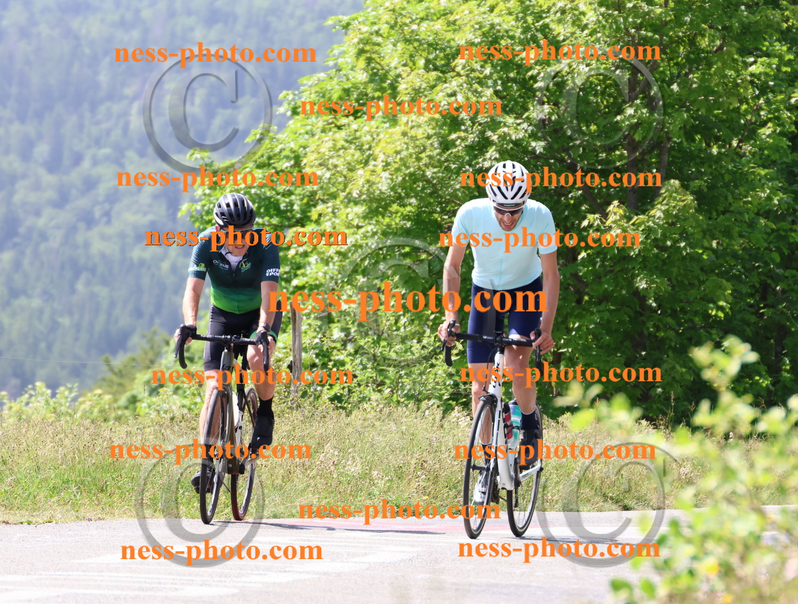 Col du grand Colombier (1589).JPG