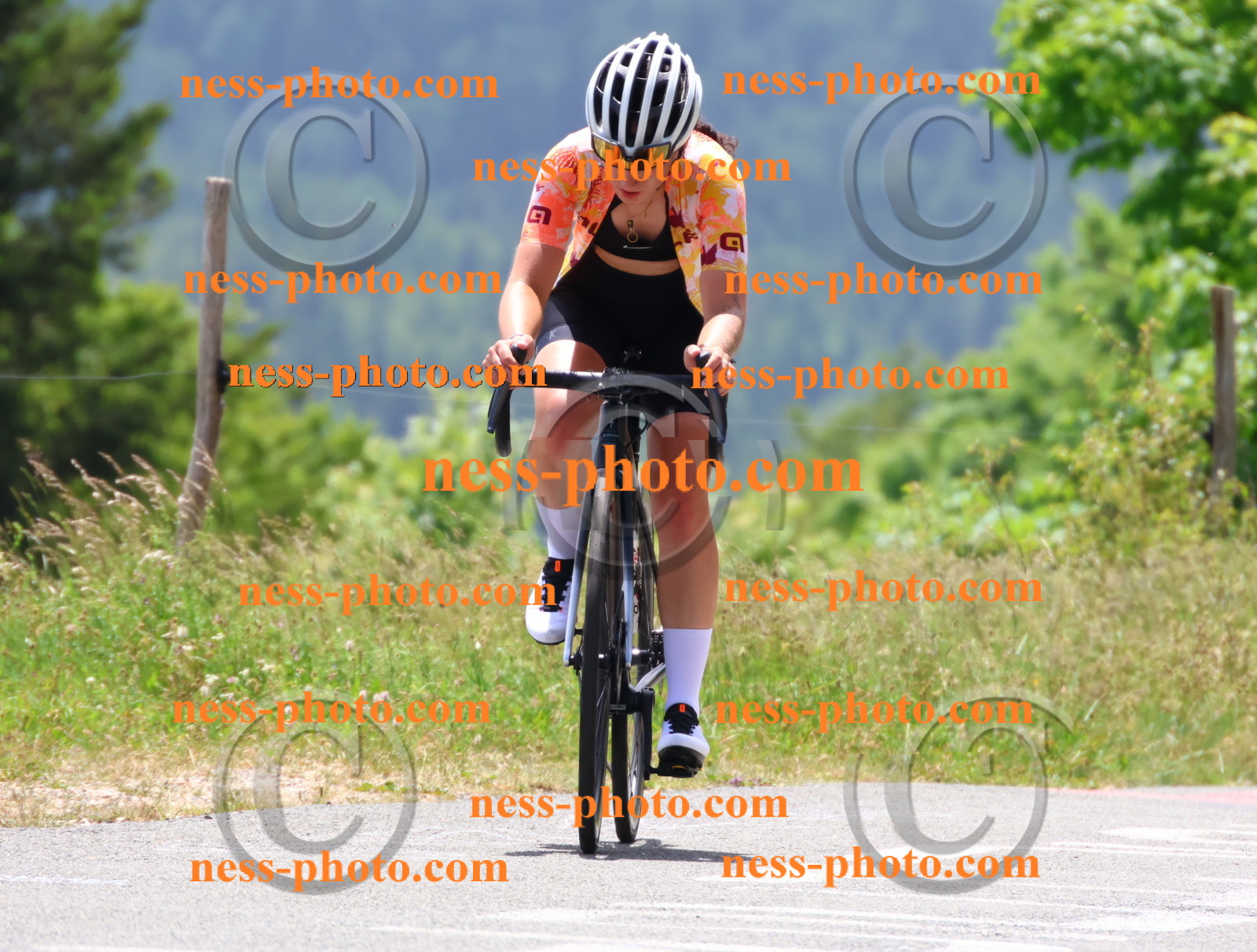 Col du grand Colombier (2929).JPG