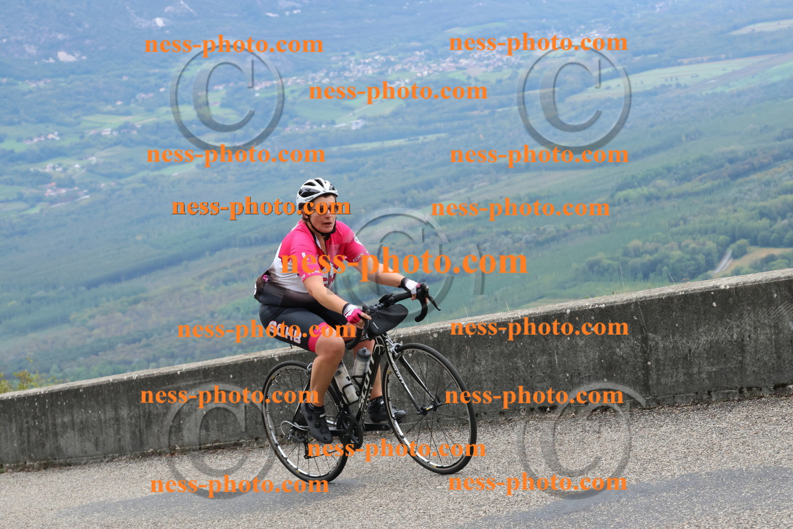 Col du Grand Colombier (1176).JPG