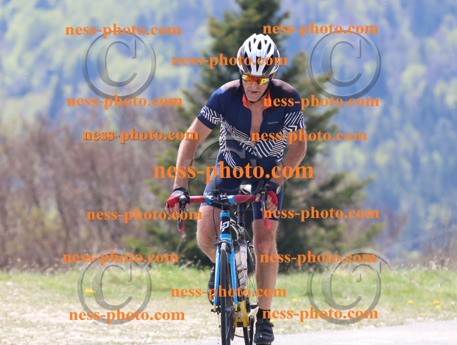 Col du Grand Colombier (198).JPG