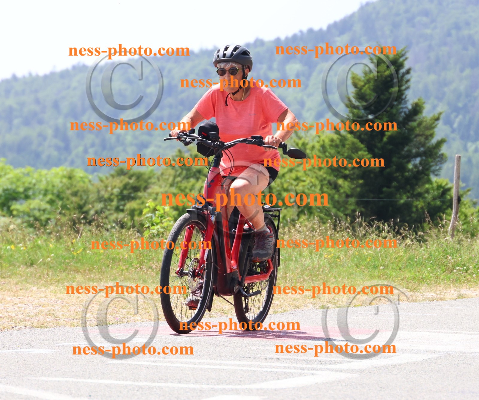 Col du grand Colombier (2339).JPG