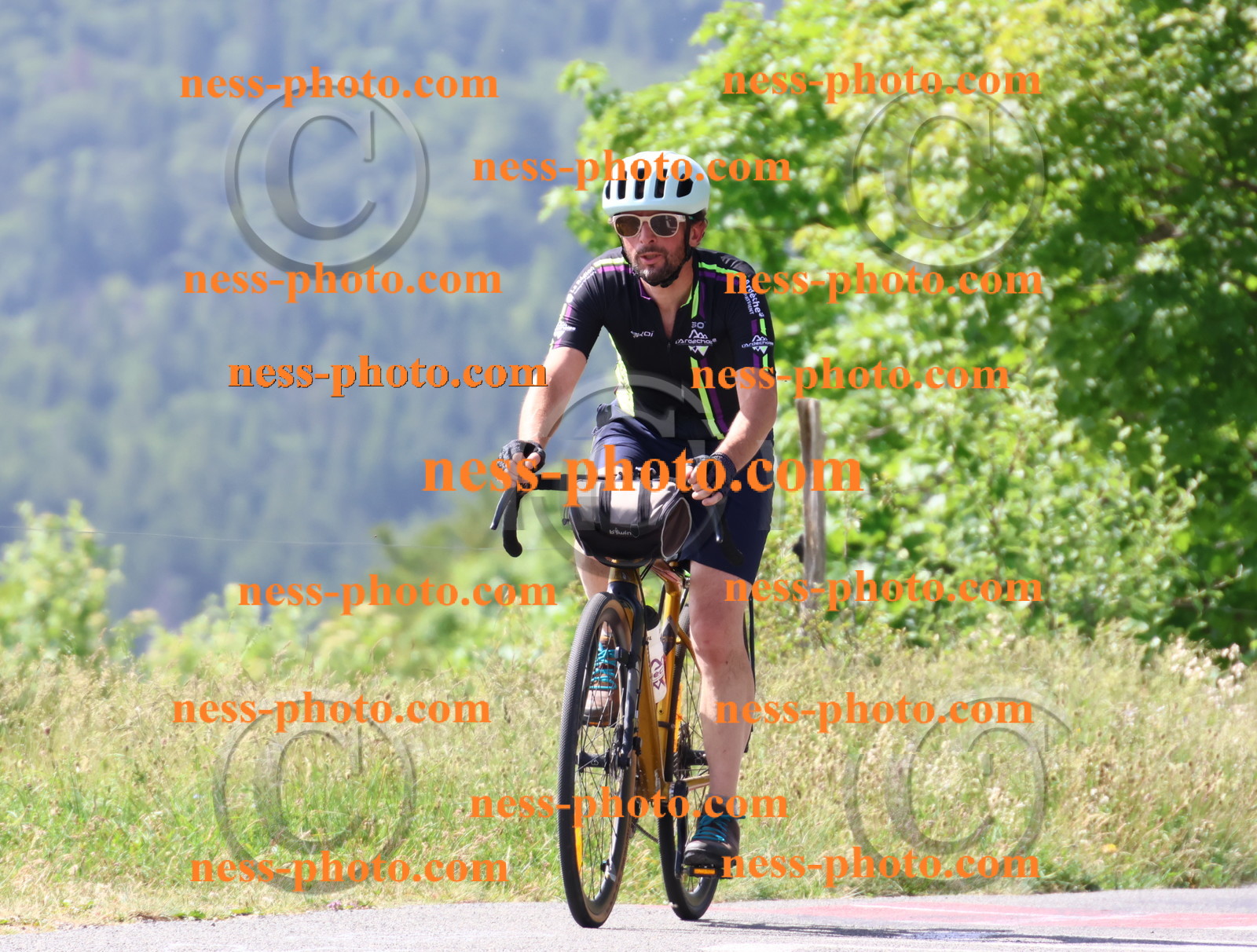 Col du grand Colombier (1106).JPG