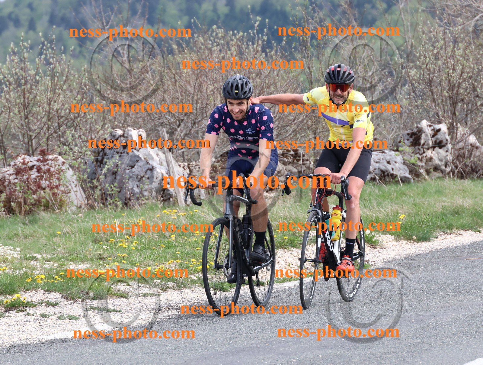 Col du Grand Colombier (1153).JPG