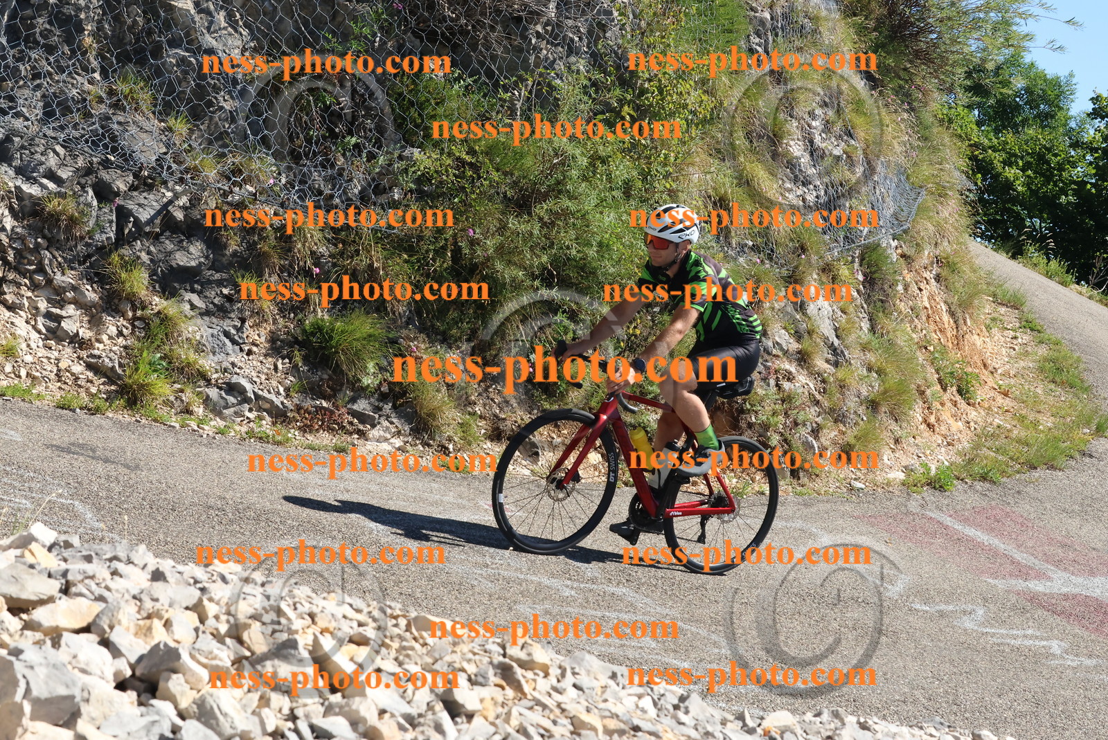 Col du Grand Colombier (559).JPG