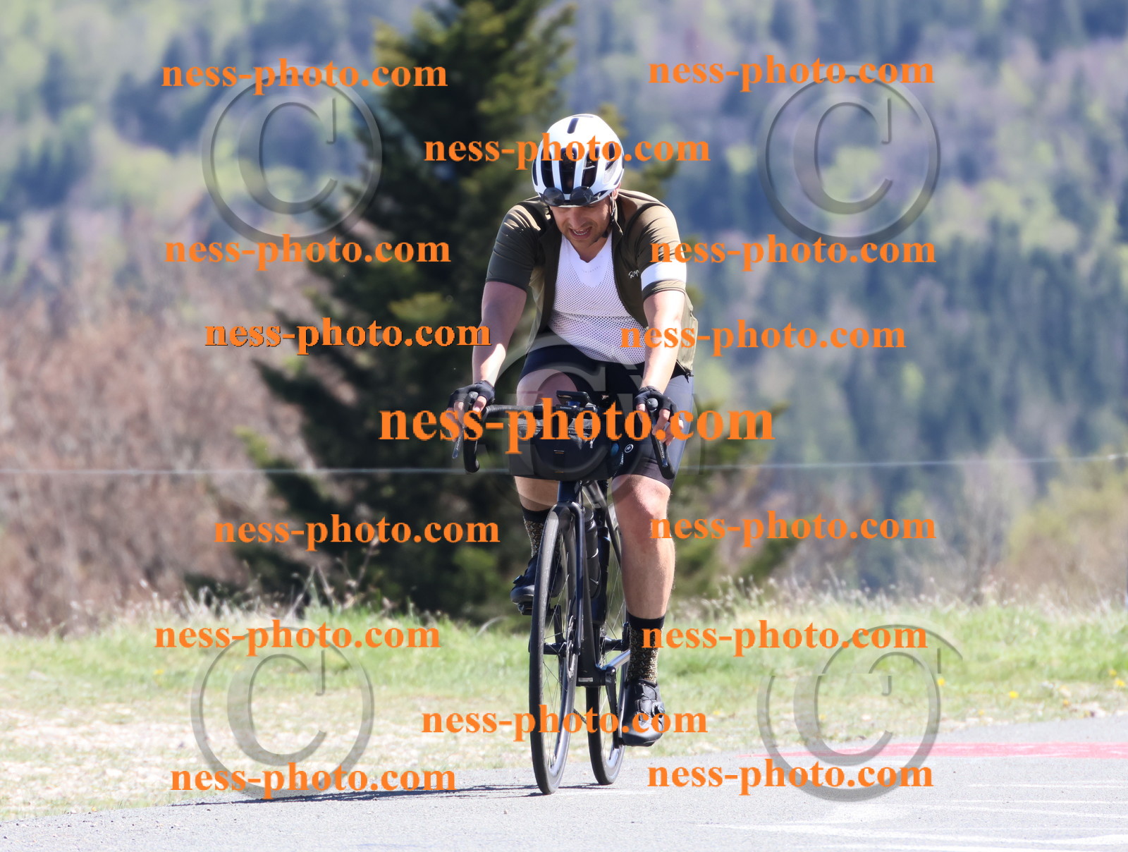 Col du Grand Colombier (991).JPG