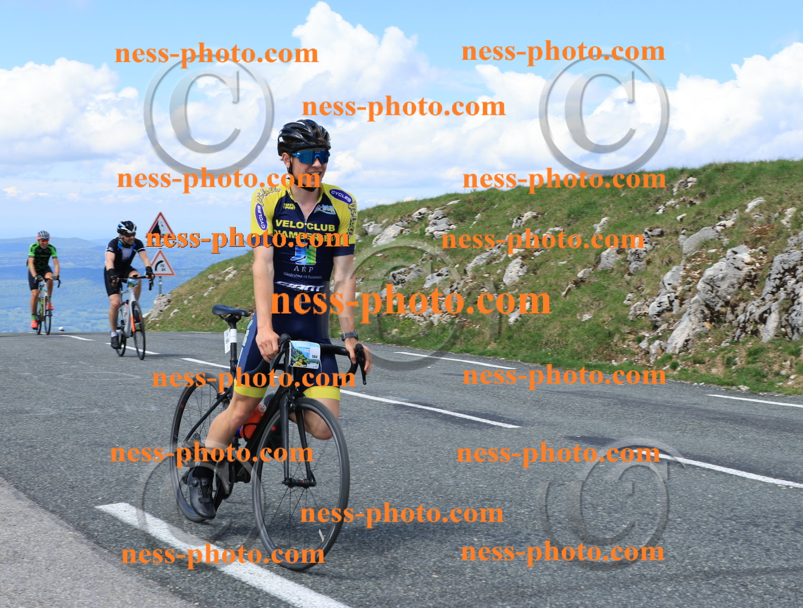 Col du Grand Colombier (2546).JPG