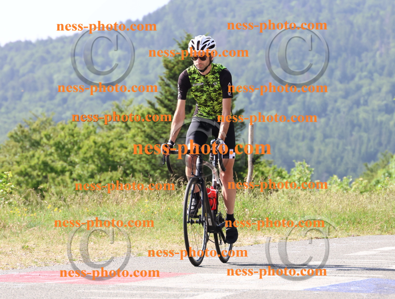 Col du grand Colombier (453).JPG