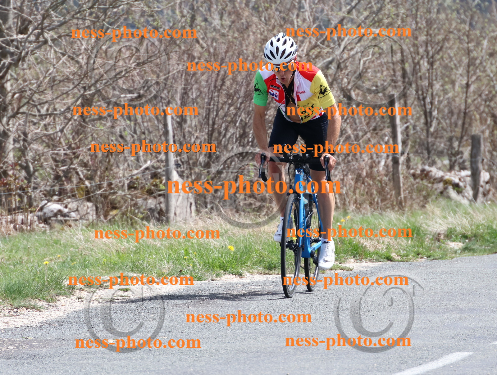 Col du Grand Colombier (997).JPG