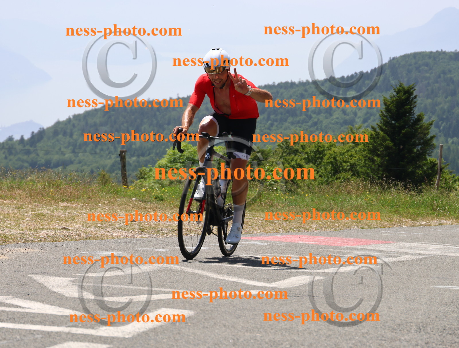 Col du grand Colombier (2522).JPG