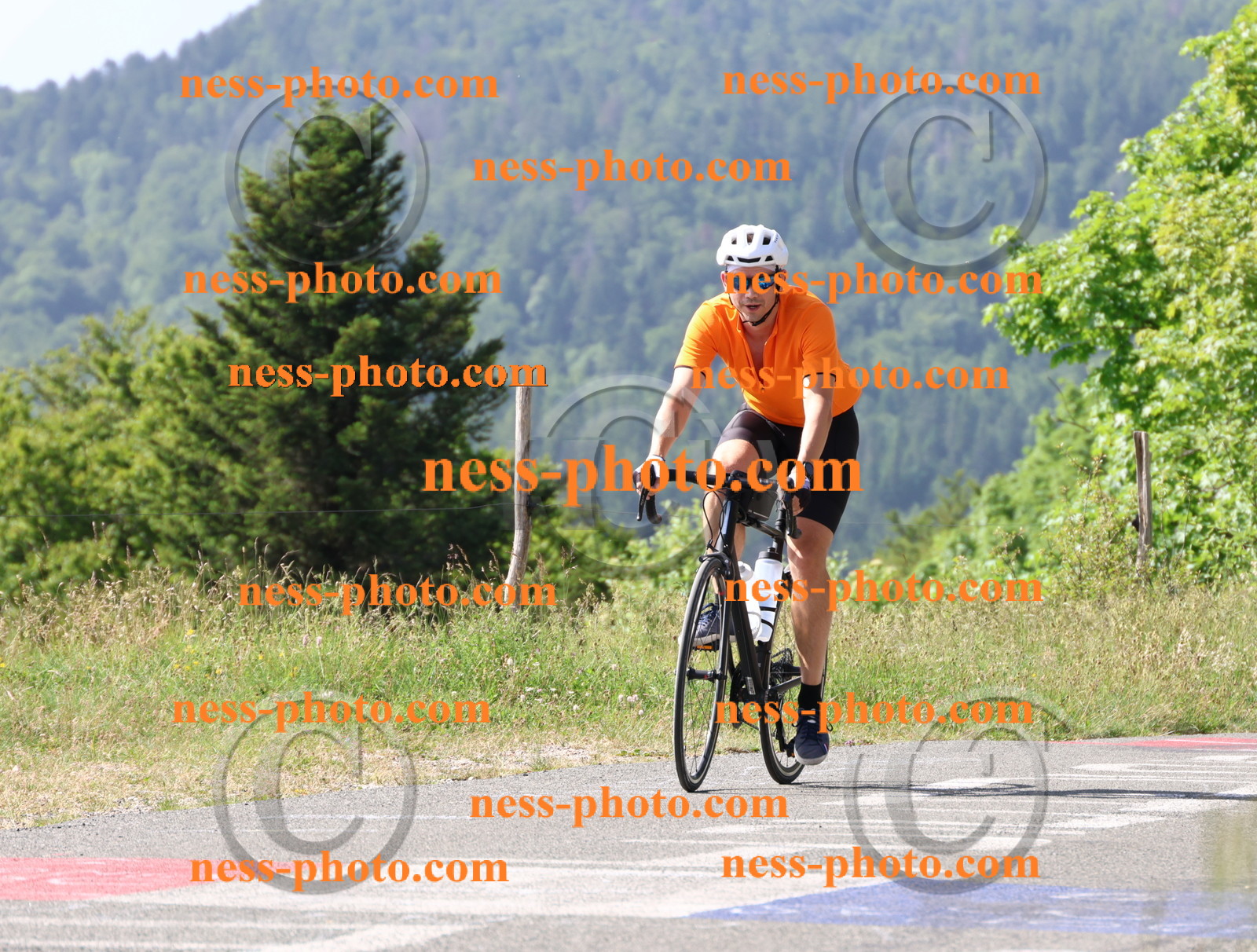 Col du grand Colombier (485).JPG