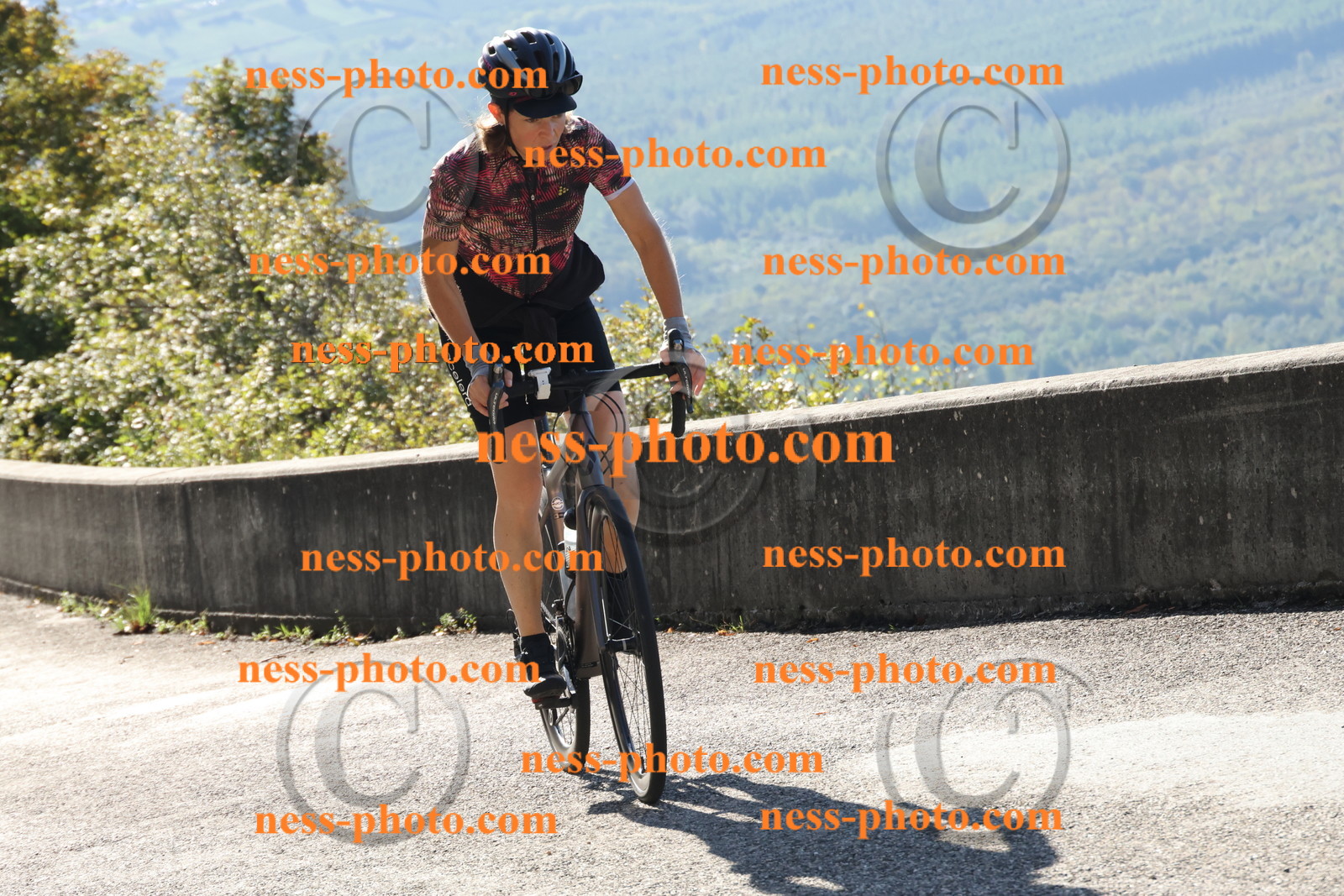 Col du Grand Colombier (70).JPG