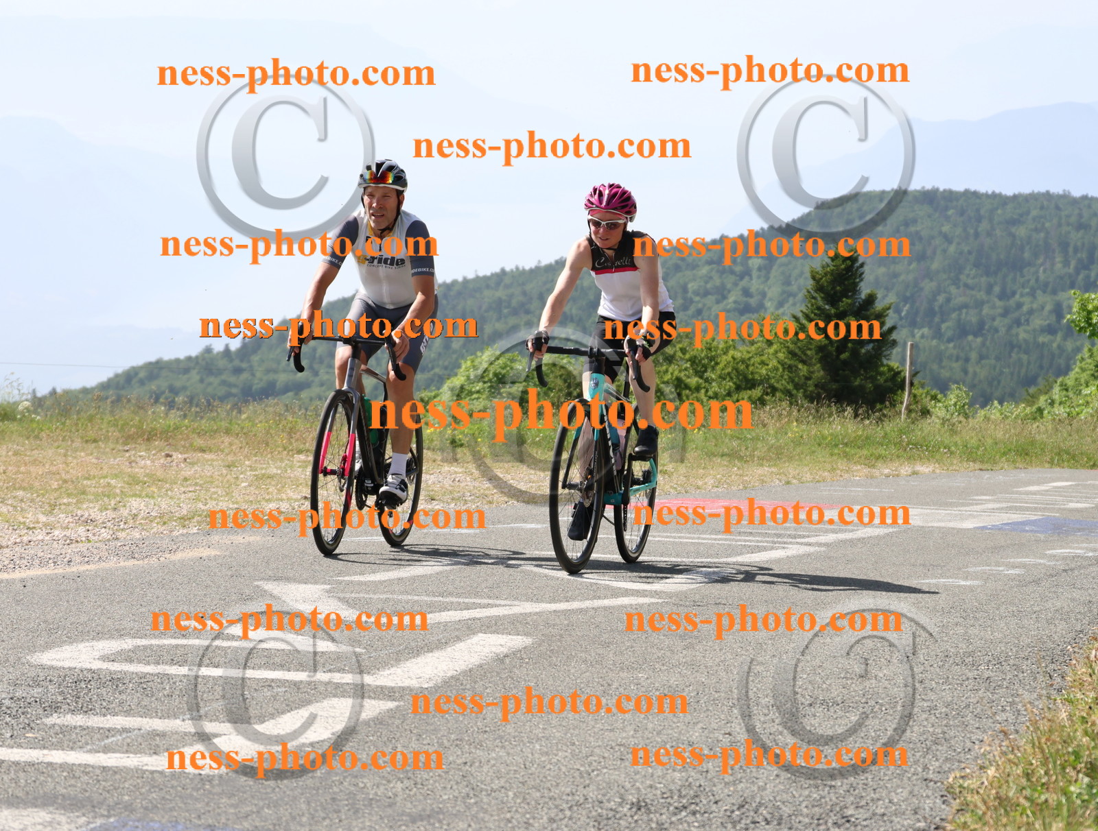 Col du grand Colombier (889).JPG