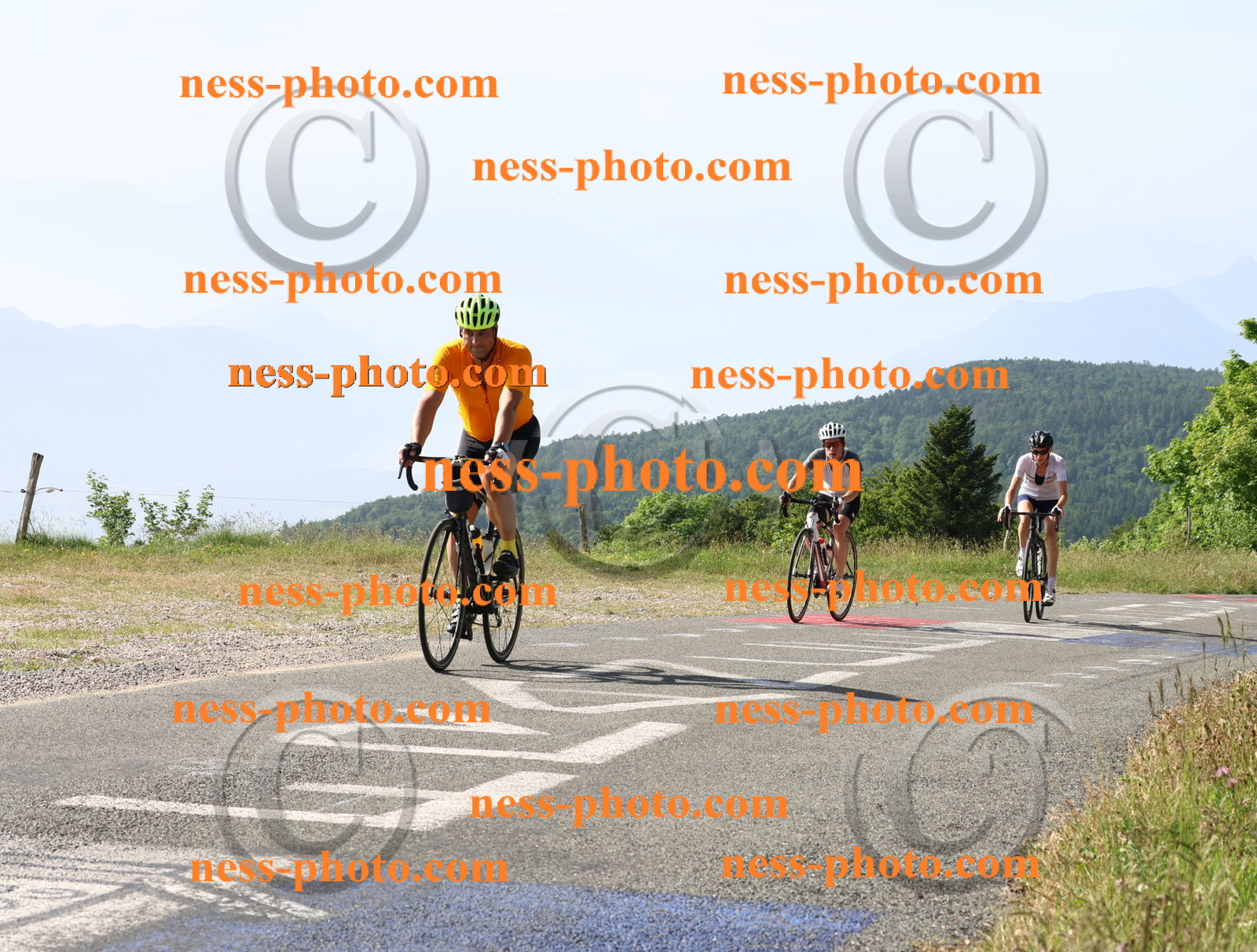 Col du grand Colombier (219).JPG