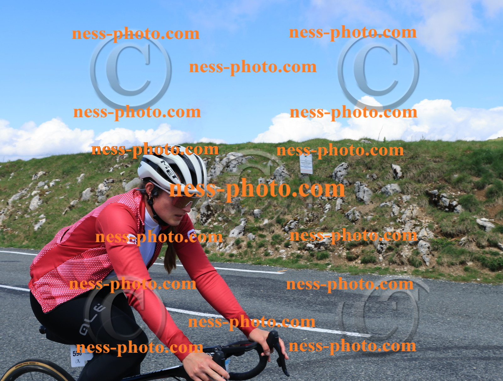 Col du Grand Colombier (1360).JPG