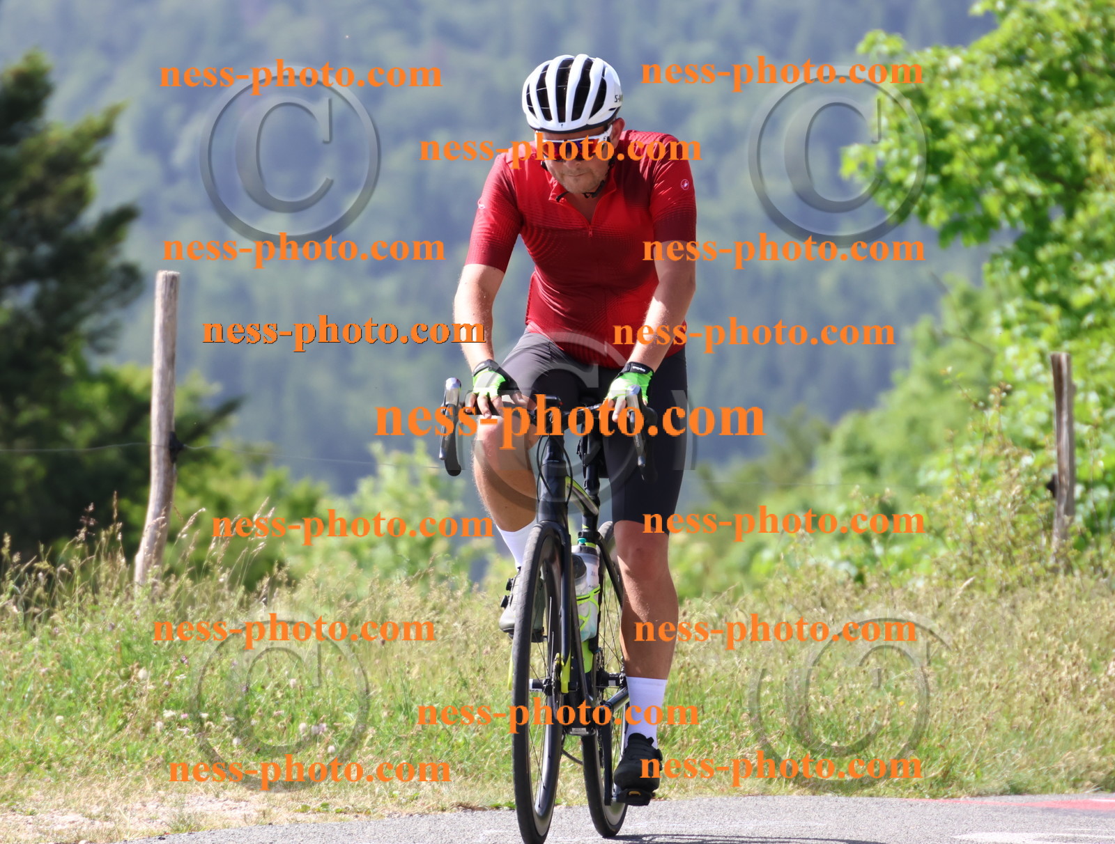 Col du grand Colombier (786).JPG