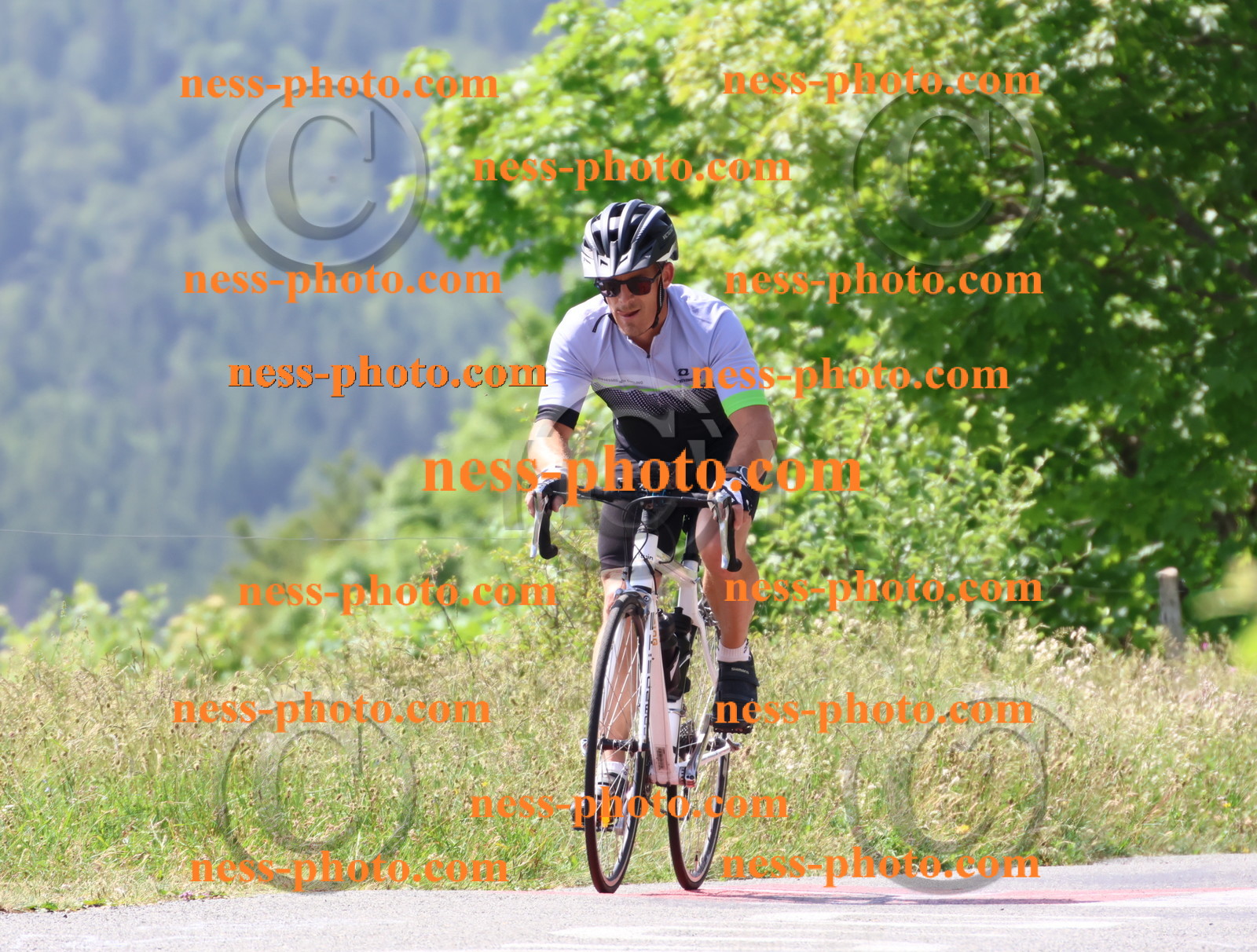 Col du grand Colombier (1533).JPG