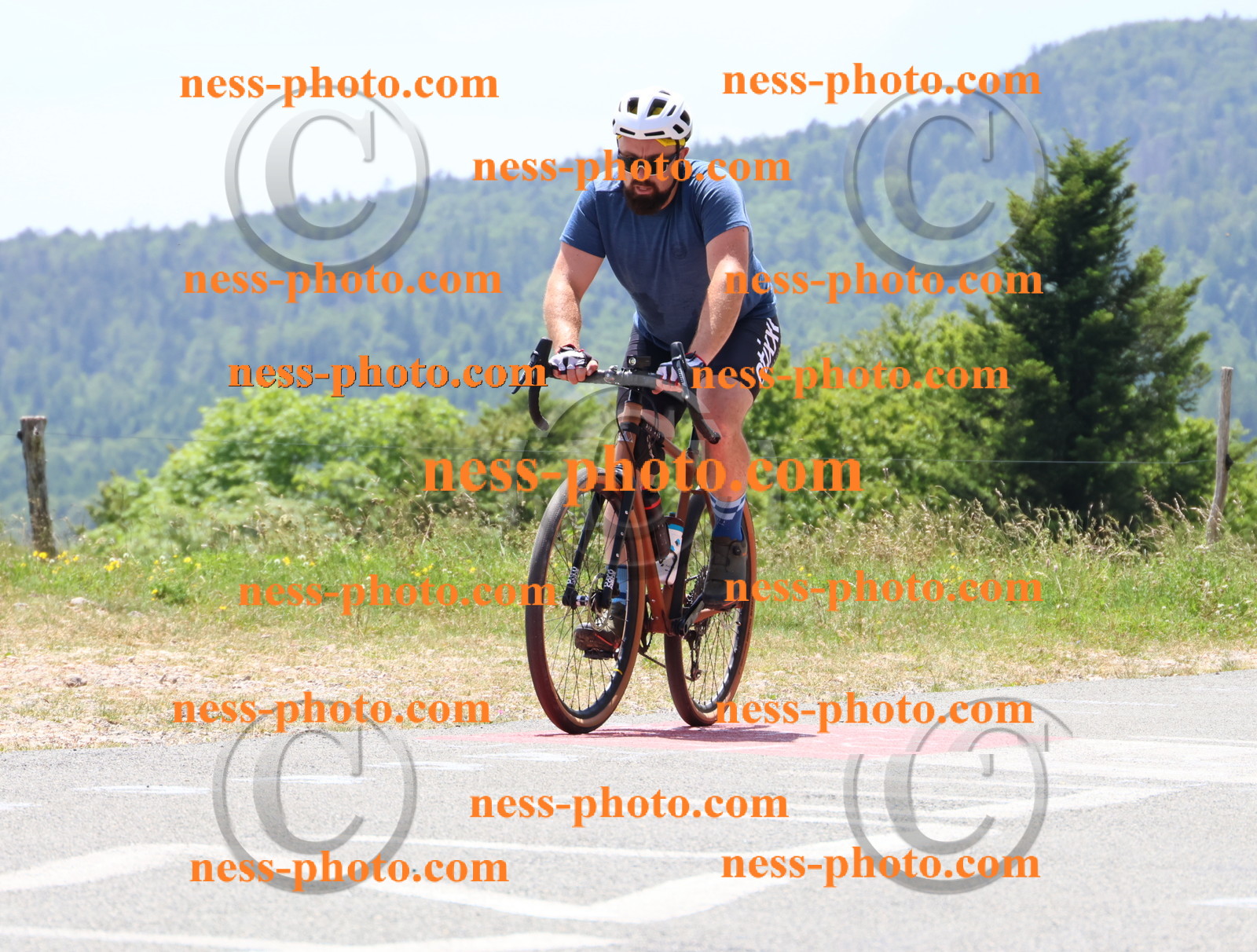 Col du grand Colombier (2774).JPG