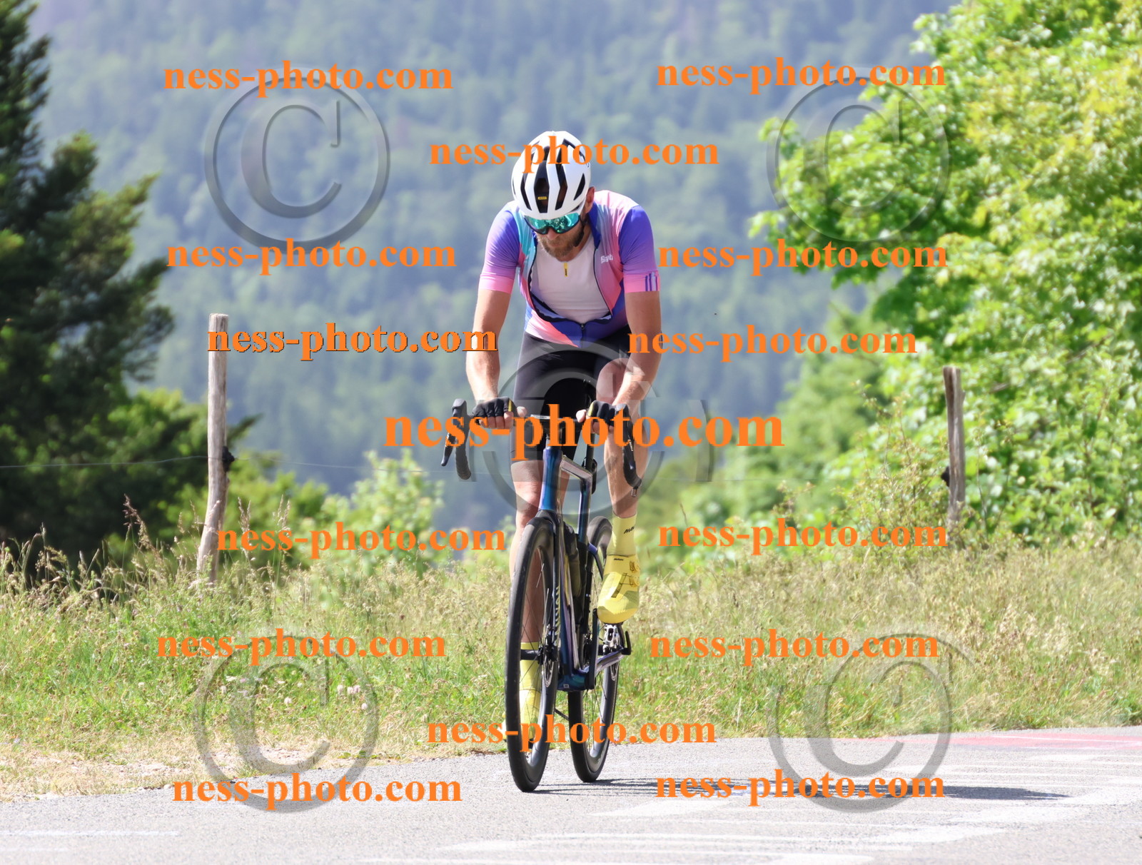 Col du grand Colombier (1229).JPG