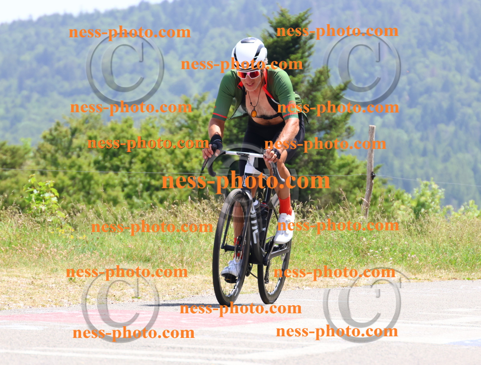 Col du grand Colombier (3194).JPG