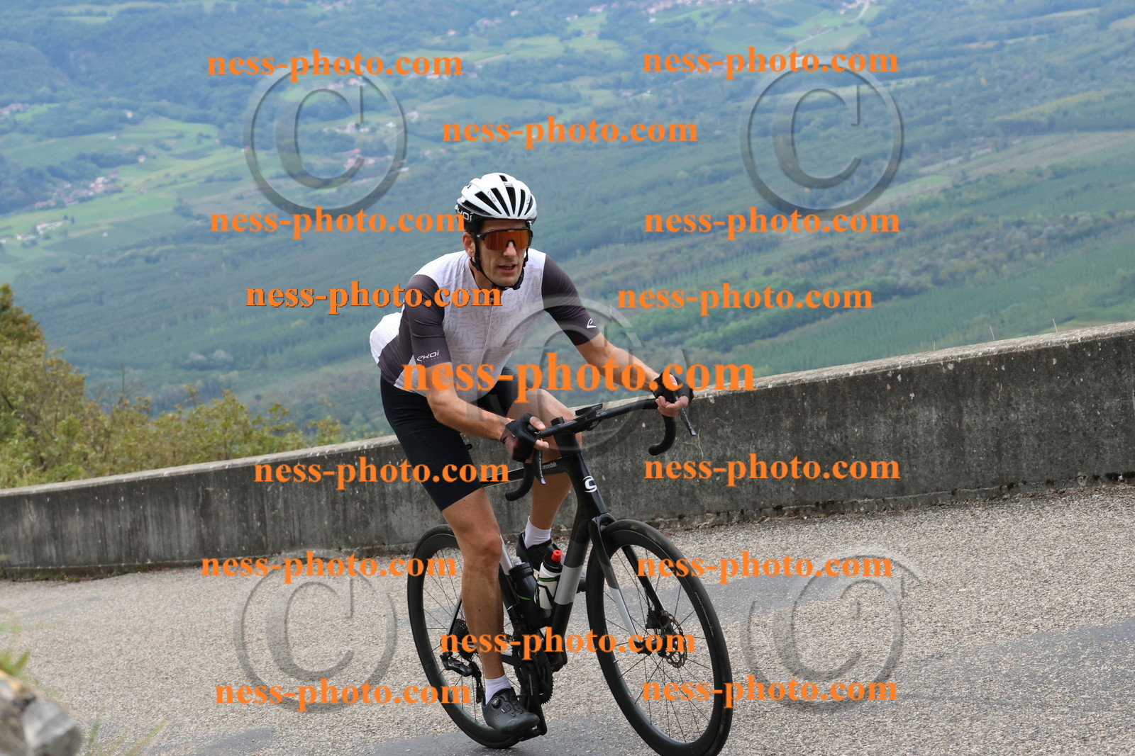 Col du Grand Colombier (1675).JPG