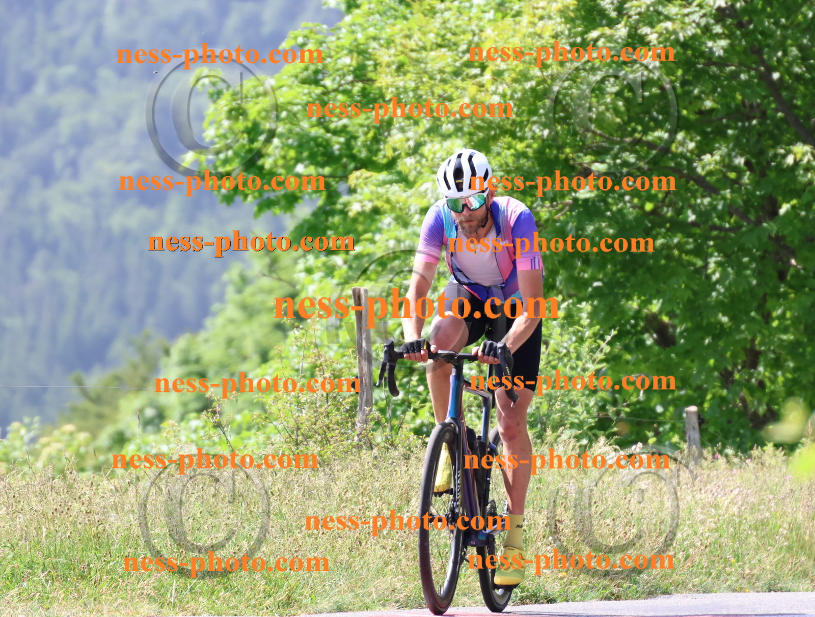 Col du grand Colombier (1228).JPG