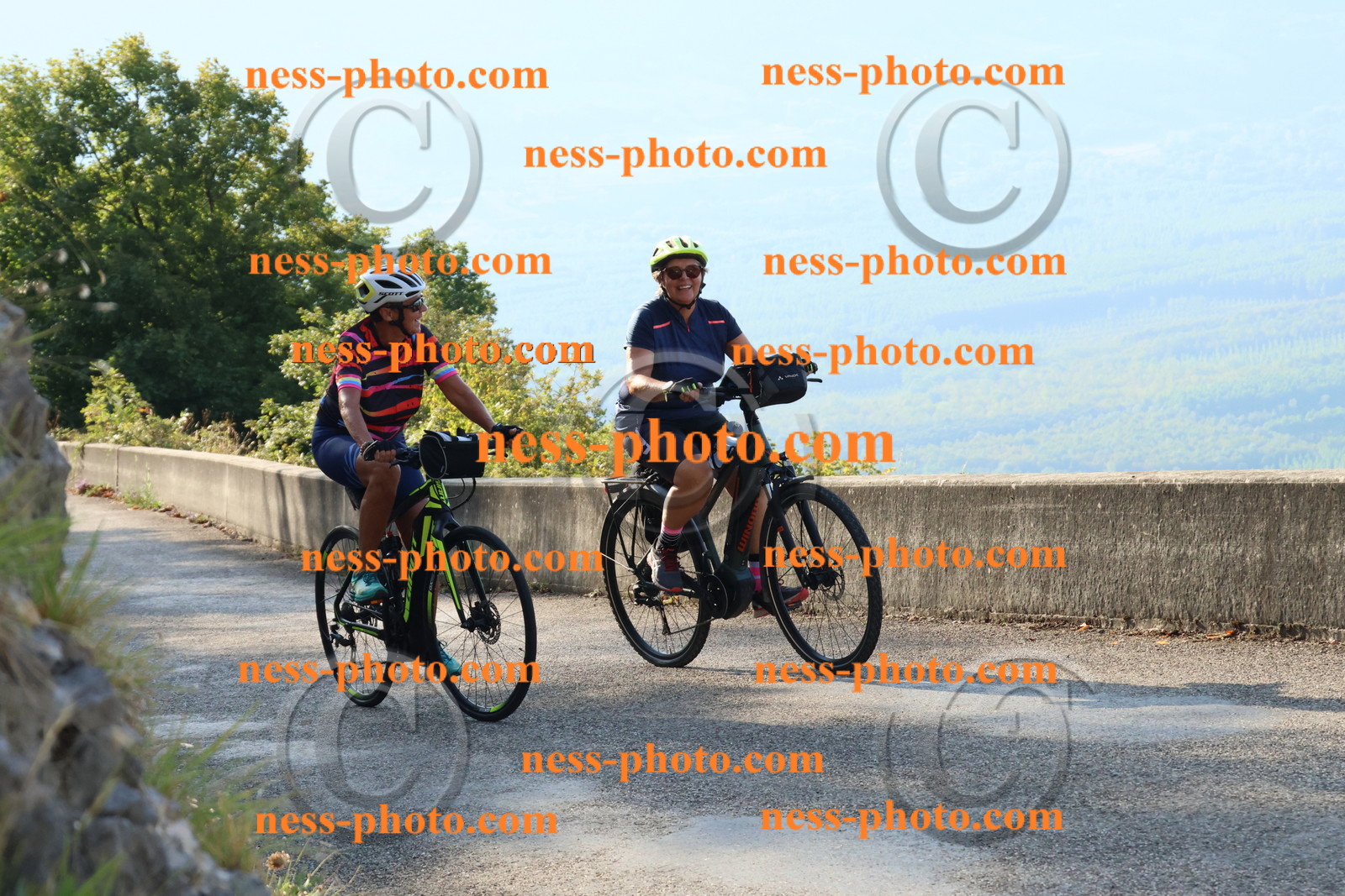 Col du Grand Colombier (289).JPG