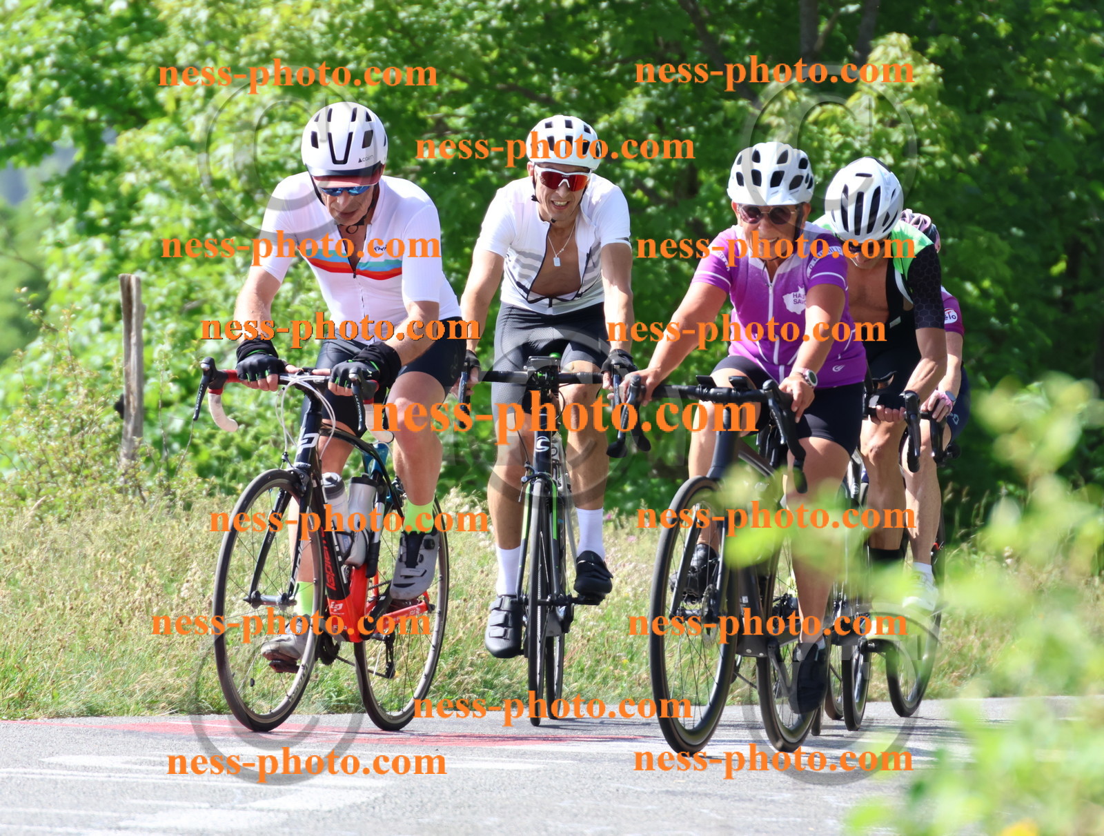 Col du grand Colombier (606).JPG