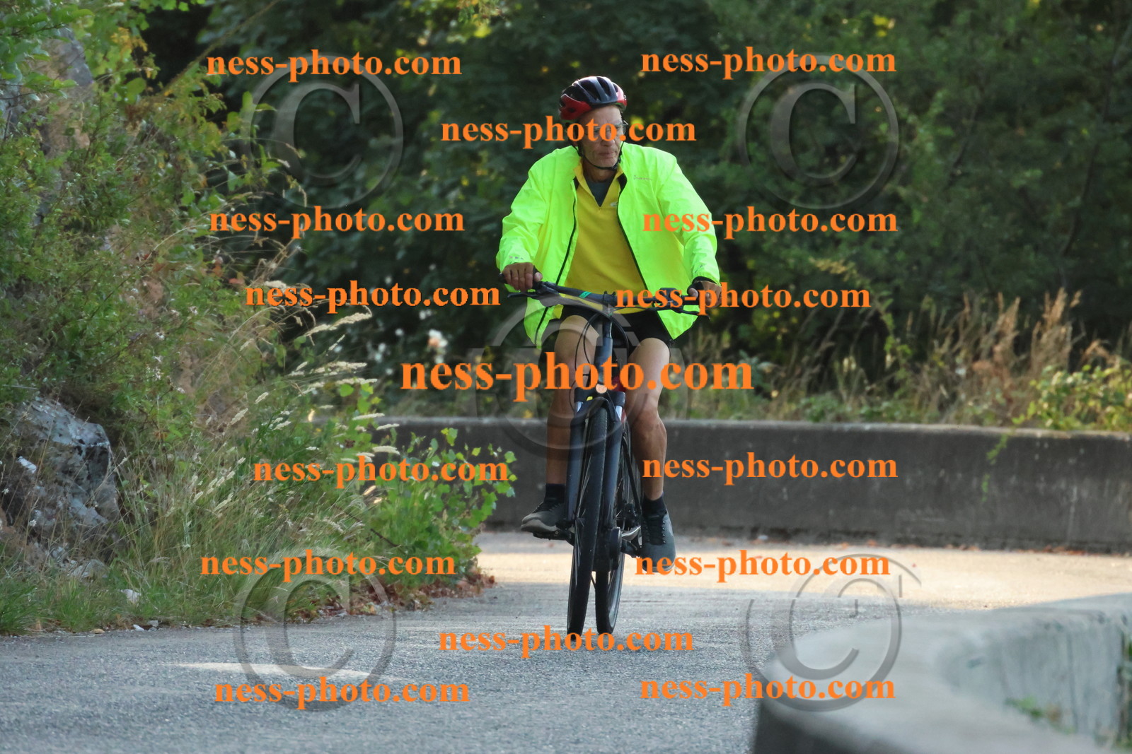 Col du Grand Colombier (9).JPG