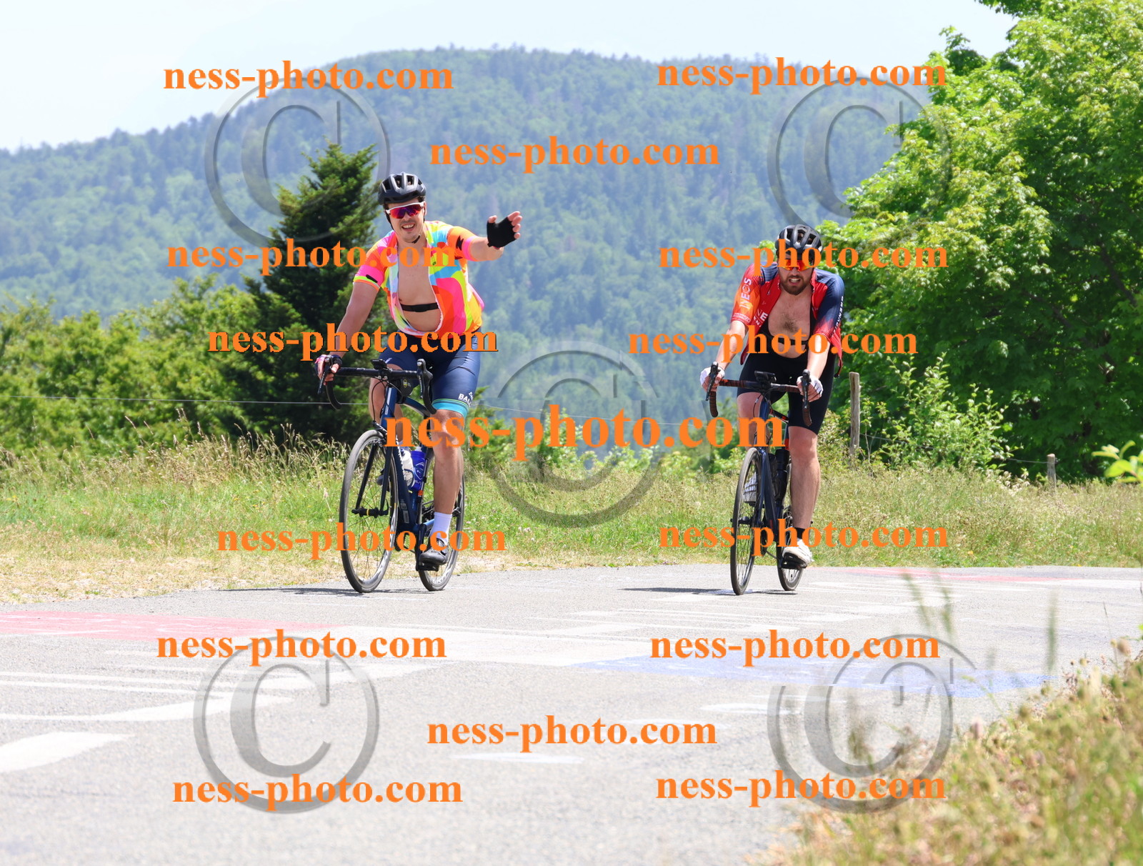 Col du grand Colombier (3225).JPG