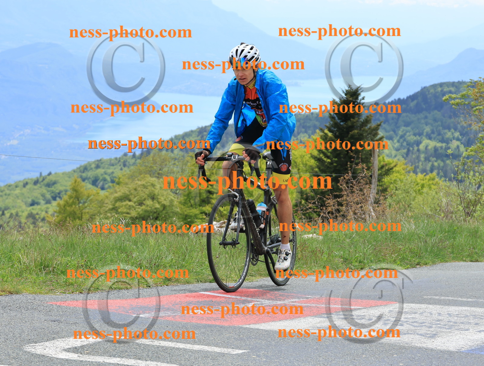 Col du Grand Colombier (491).JPG