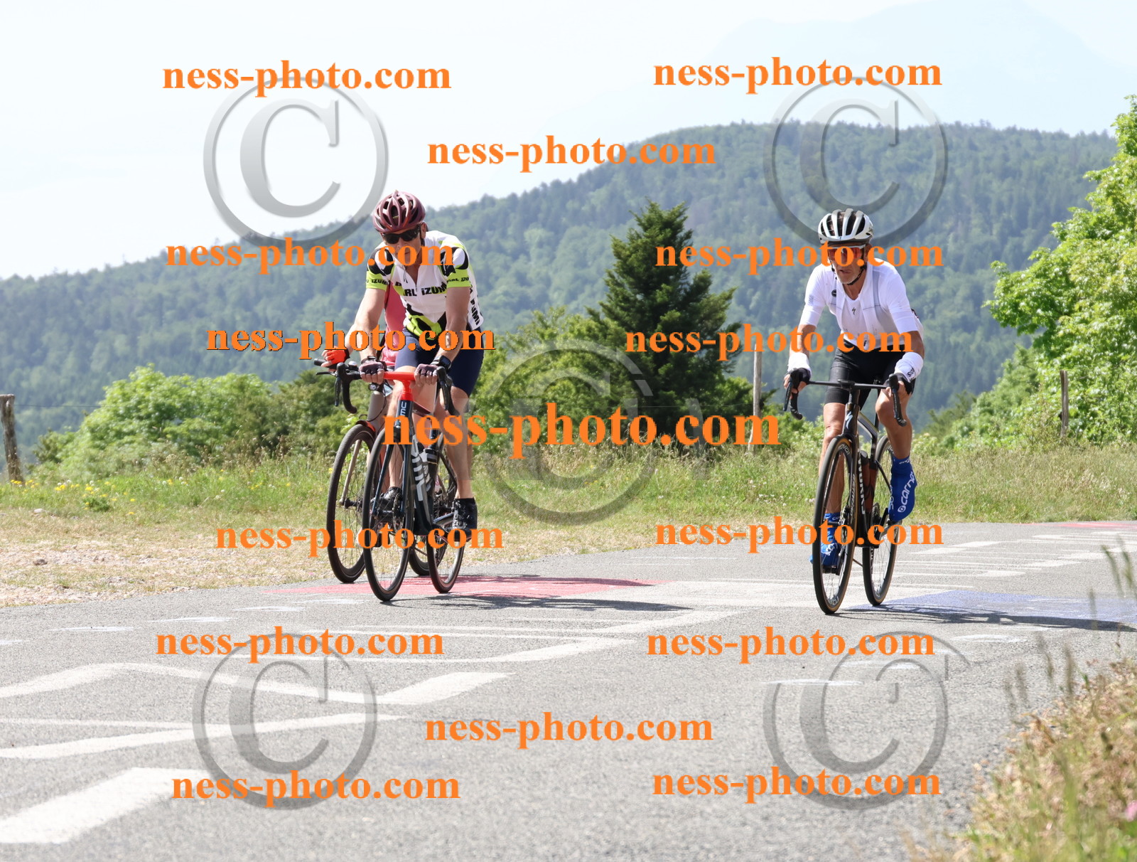 Col du grand Colombier (1302).JPG