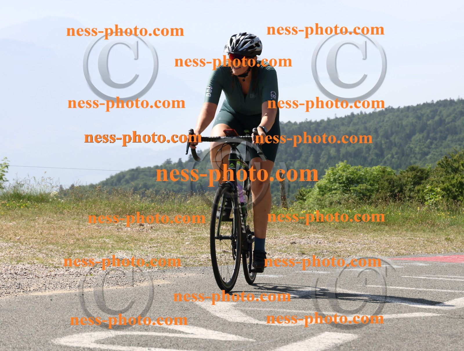 Col du grand Colombier (834).JPG