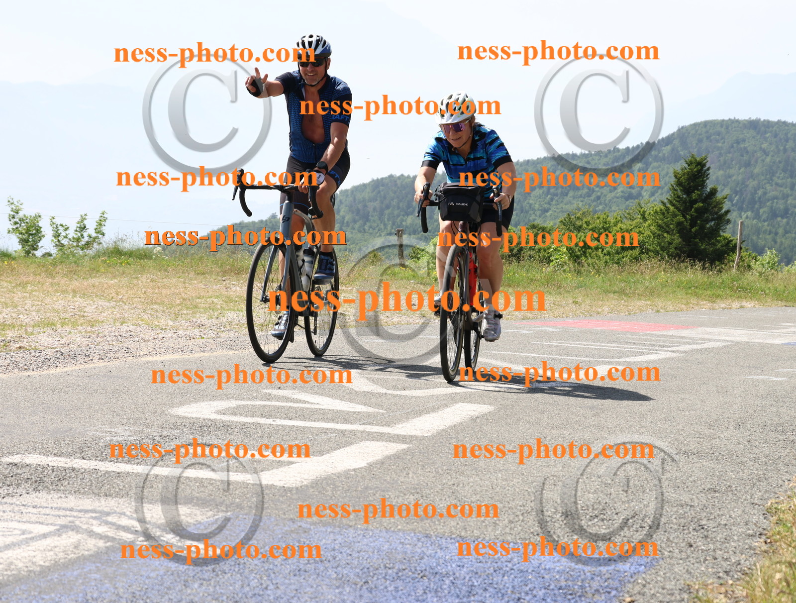 Col du grand Colombier (1245).JPG