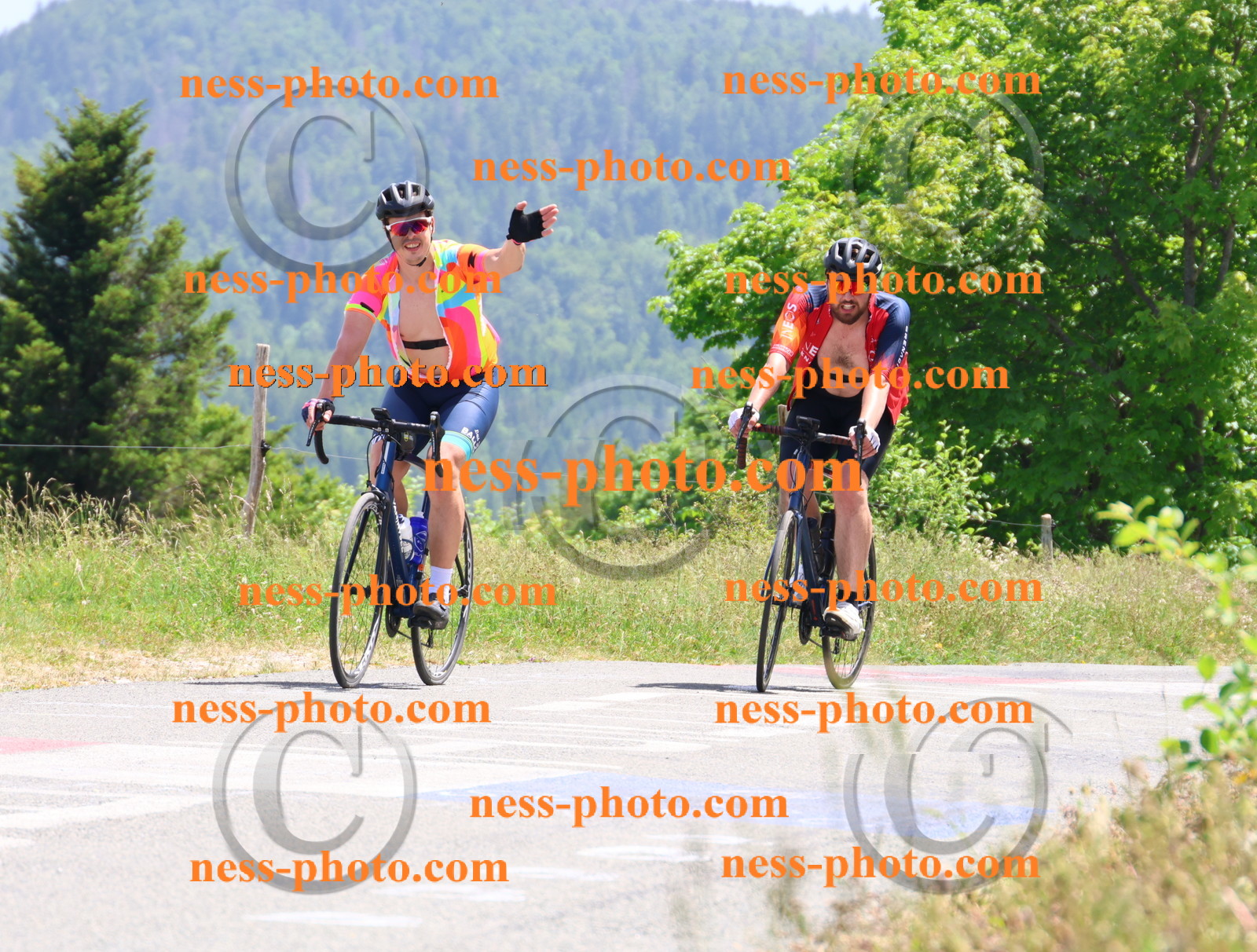 Col du grand Colombier (3224).JPG