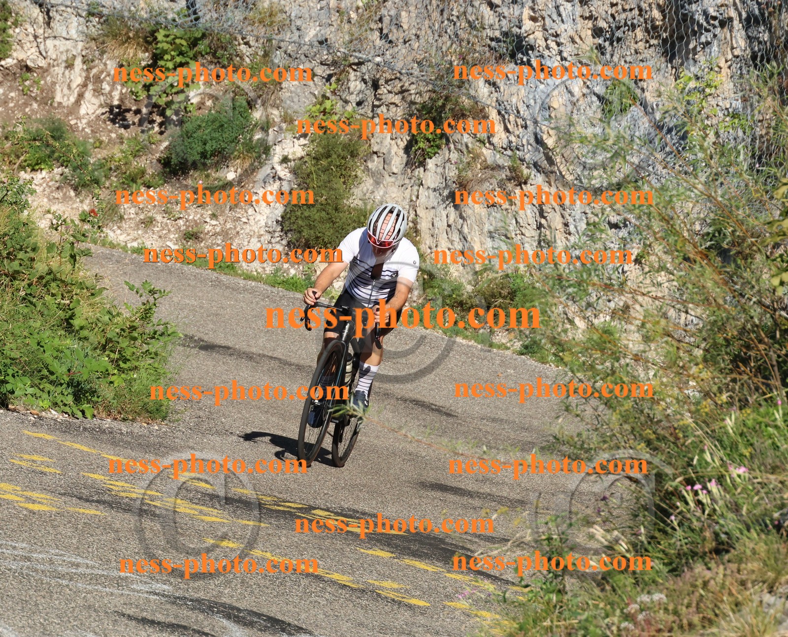 Col du Grand Colombier (87).JPG
