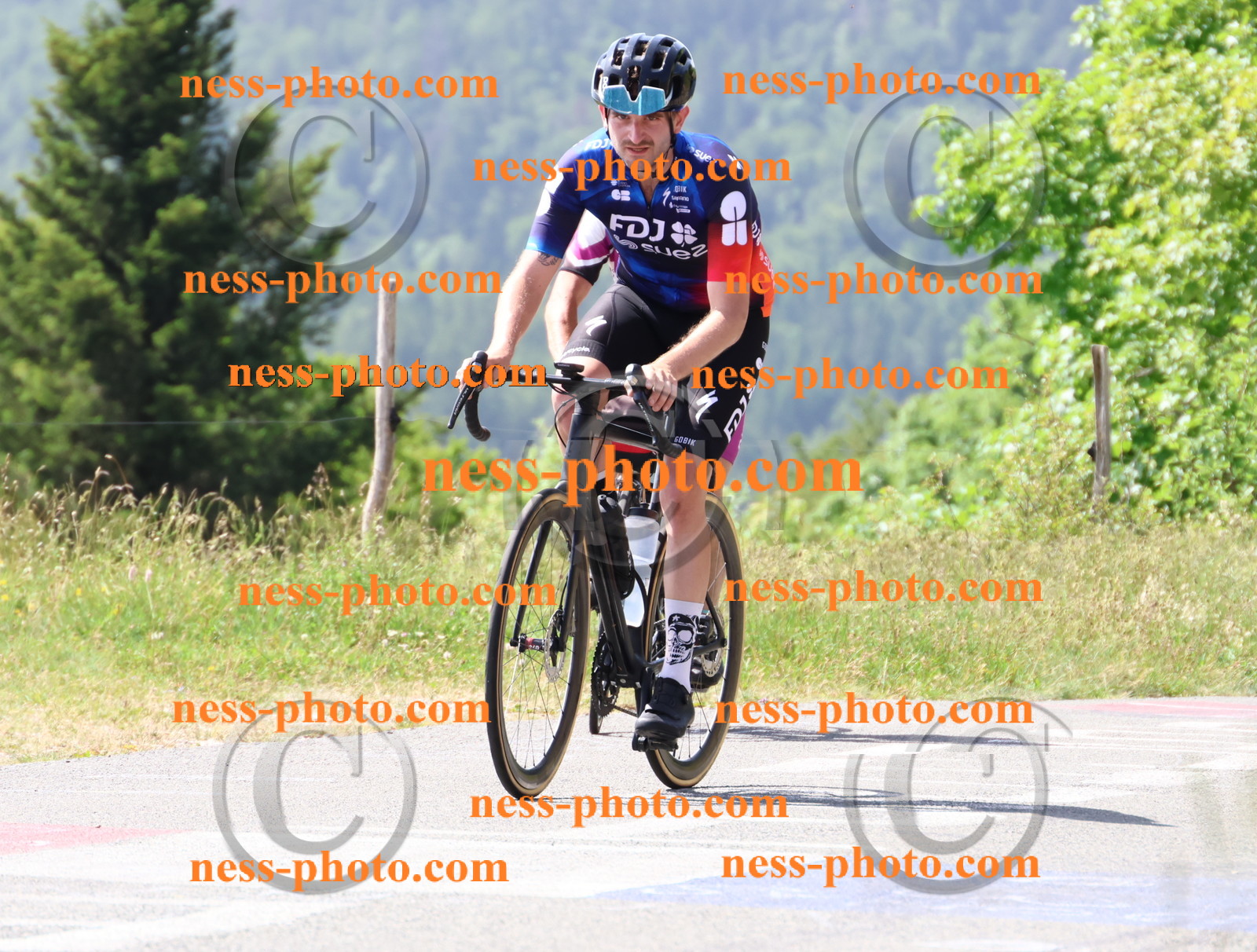 Col du grand Colombier (1393).JPG