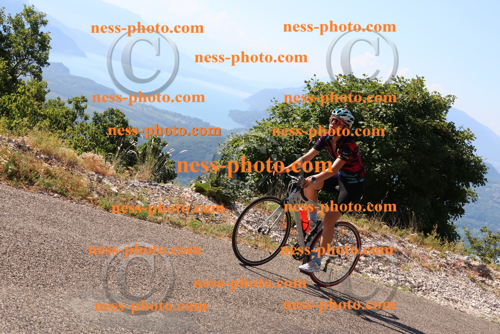 Col du Grand Colombier (54).JPG