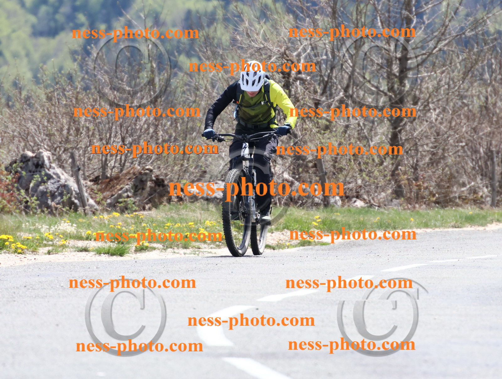 Col du Grand Colombier (742).JPG