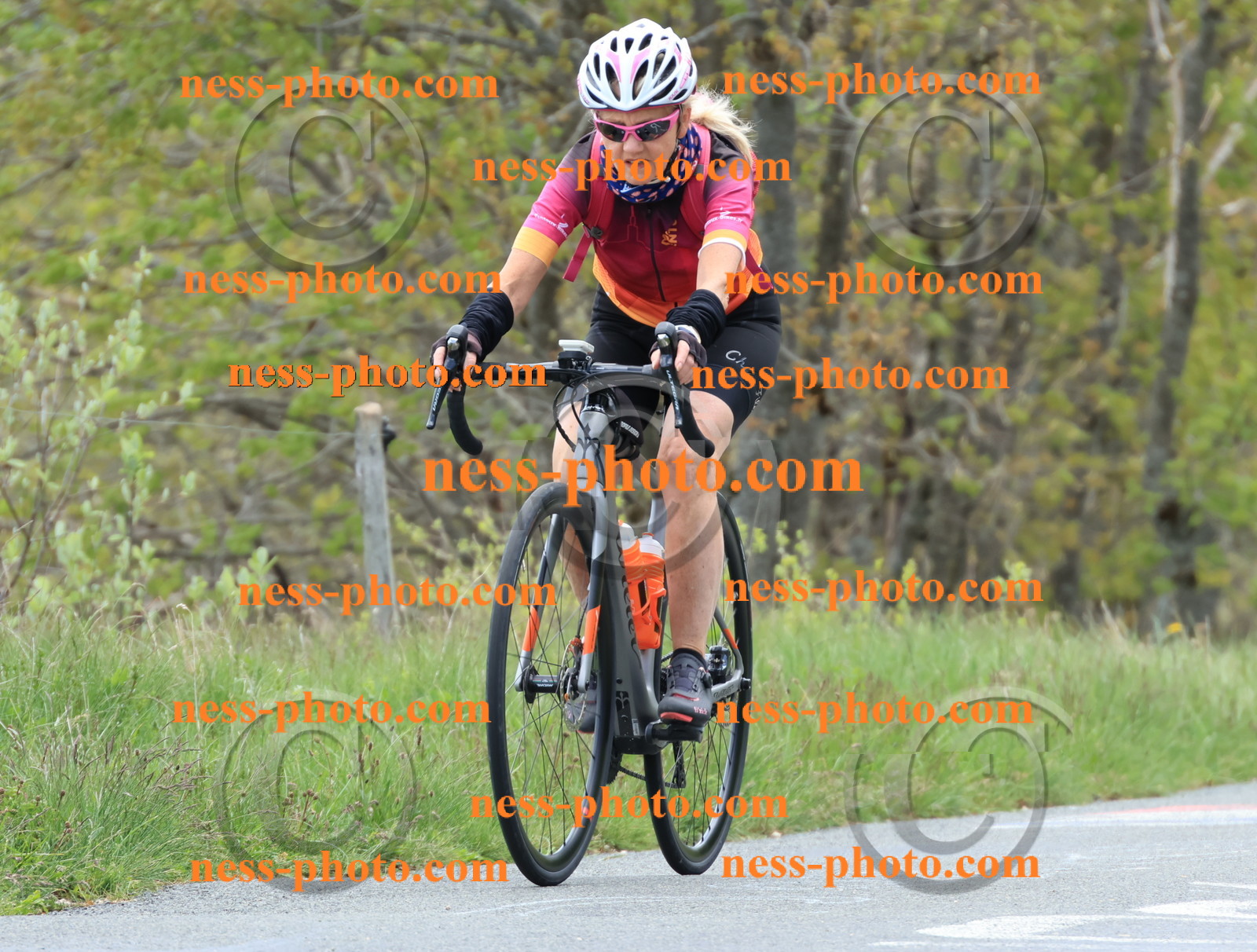 Col du Grand Colombier (409).JPG