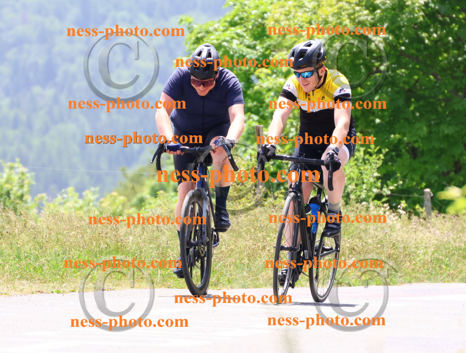 Col du grand Colombier (2949).JPG