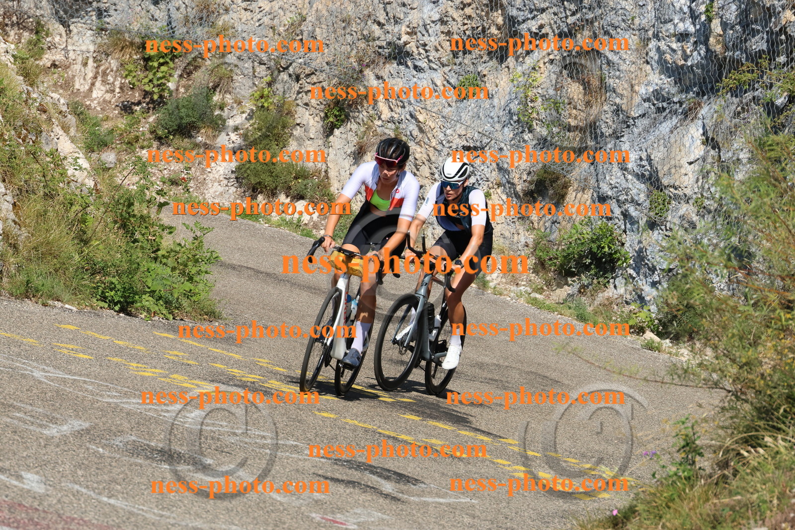 Col du Grand Colombier (355).JPG