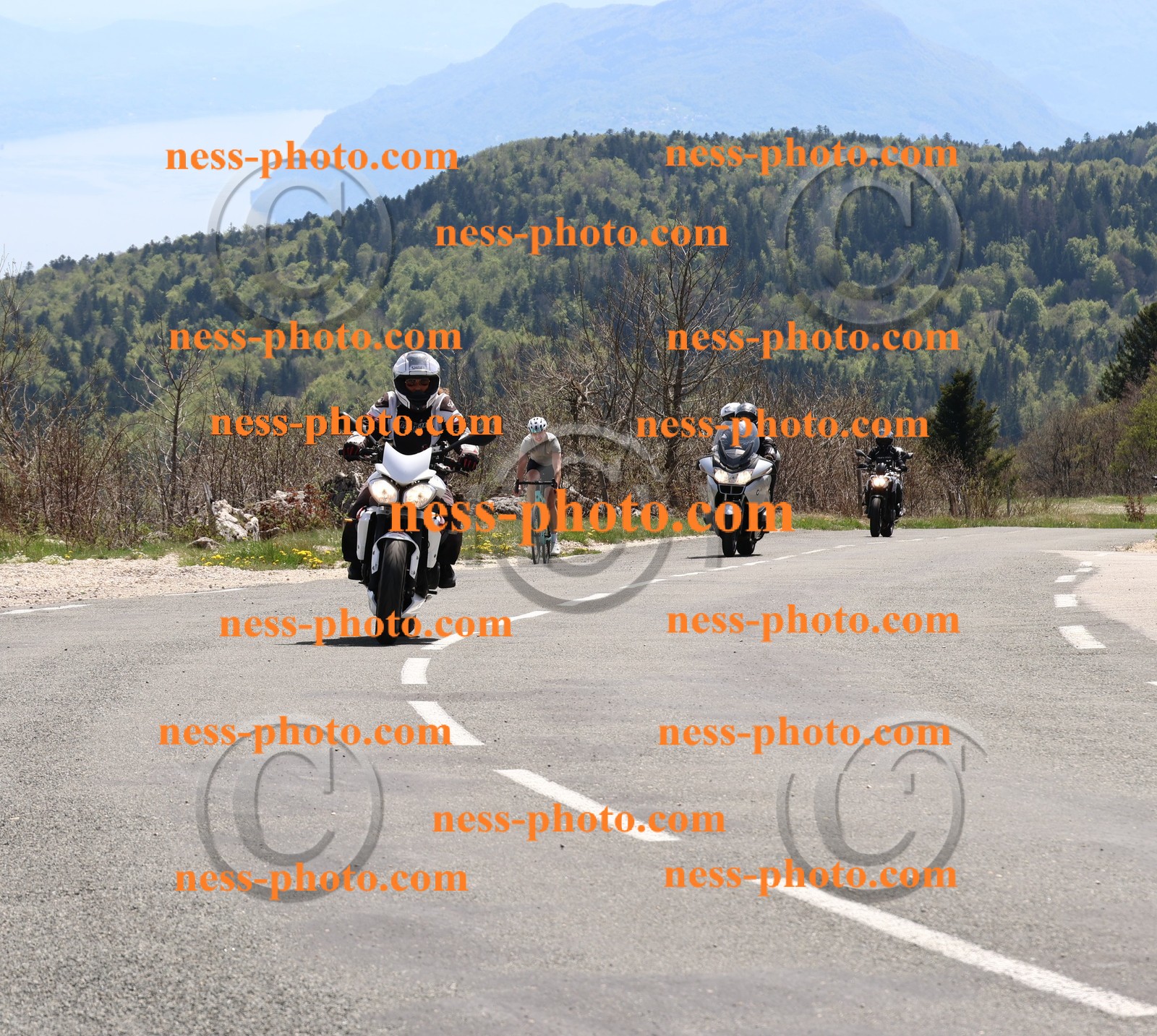 Col du Grand Colombier (70).JPG