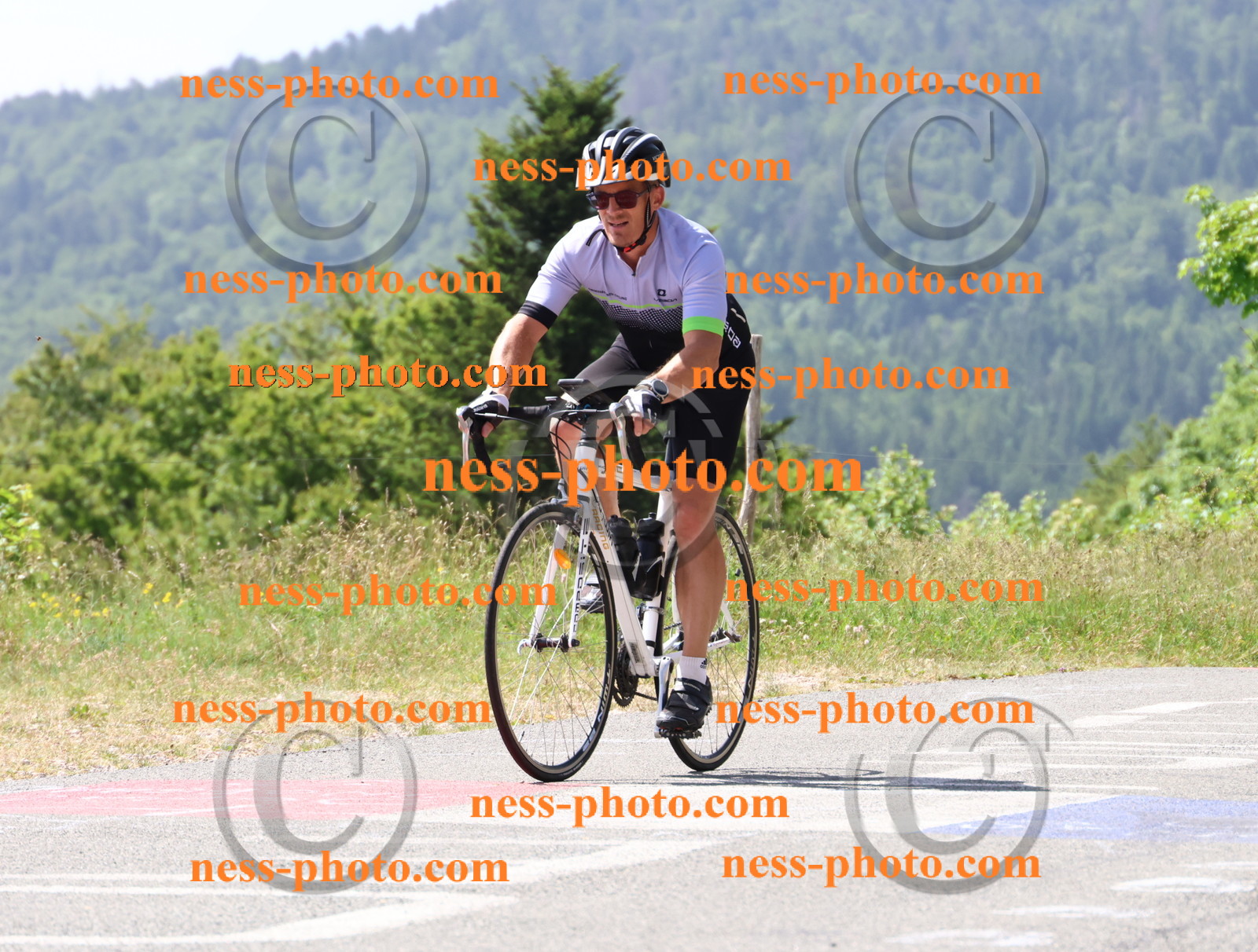 Col du grand Colombier (1536).JPG