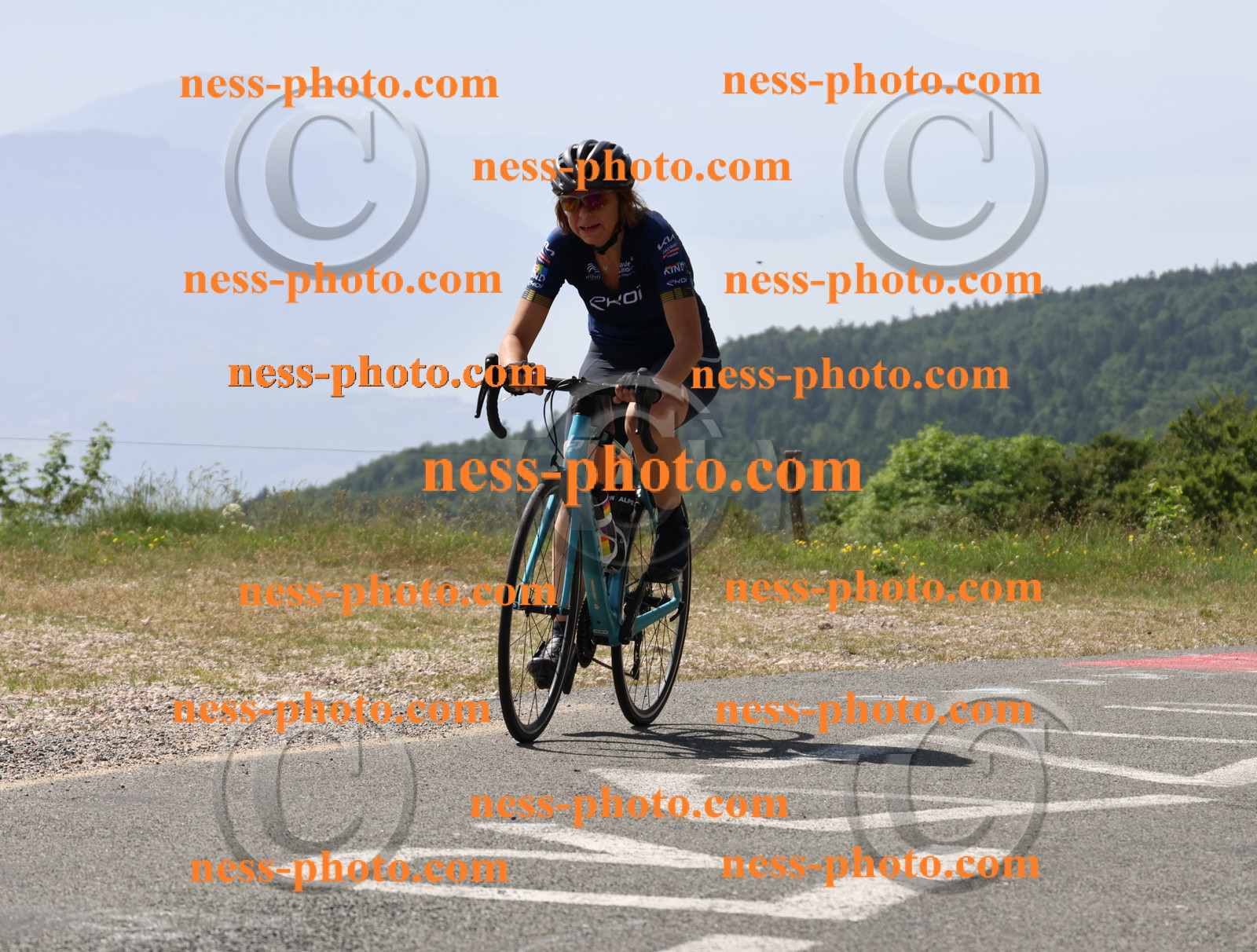 Col du grand Colombier (1283).JPG