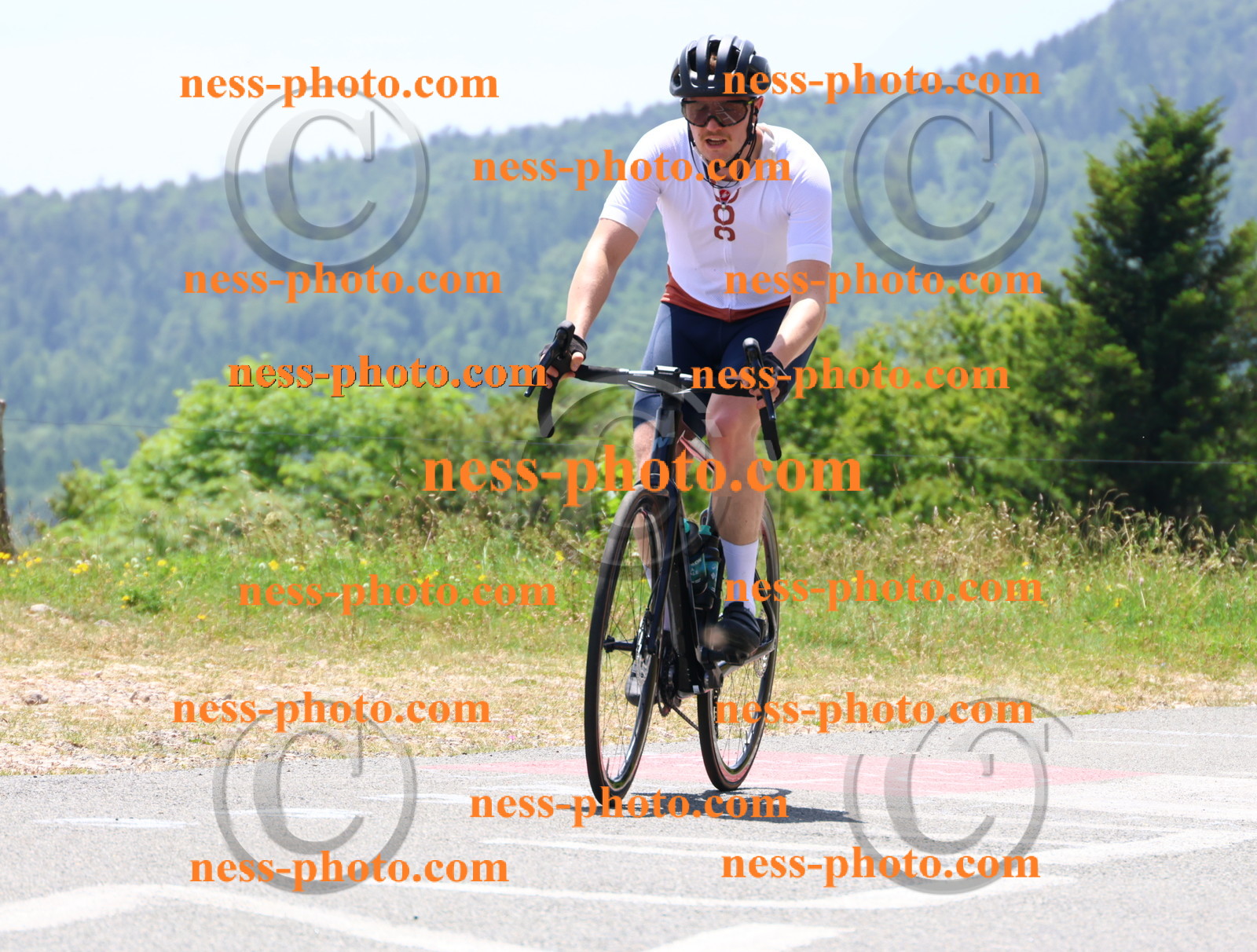 Col du grand Colombier (2828).JPG