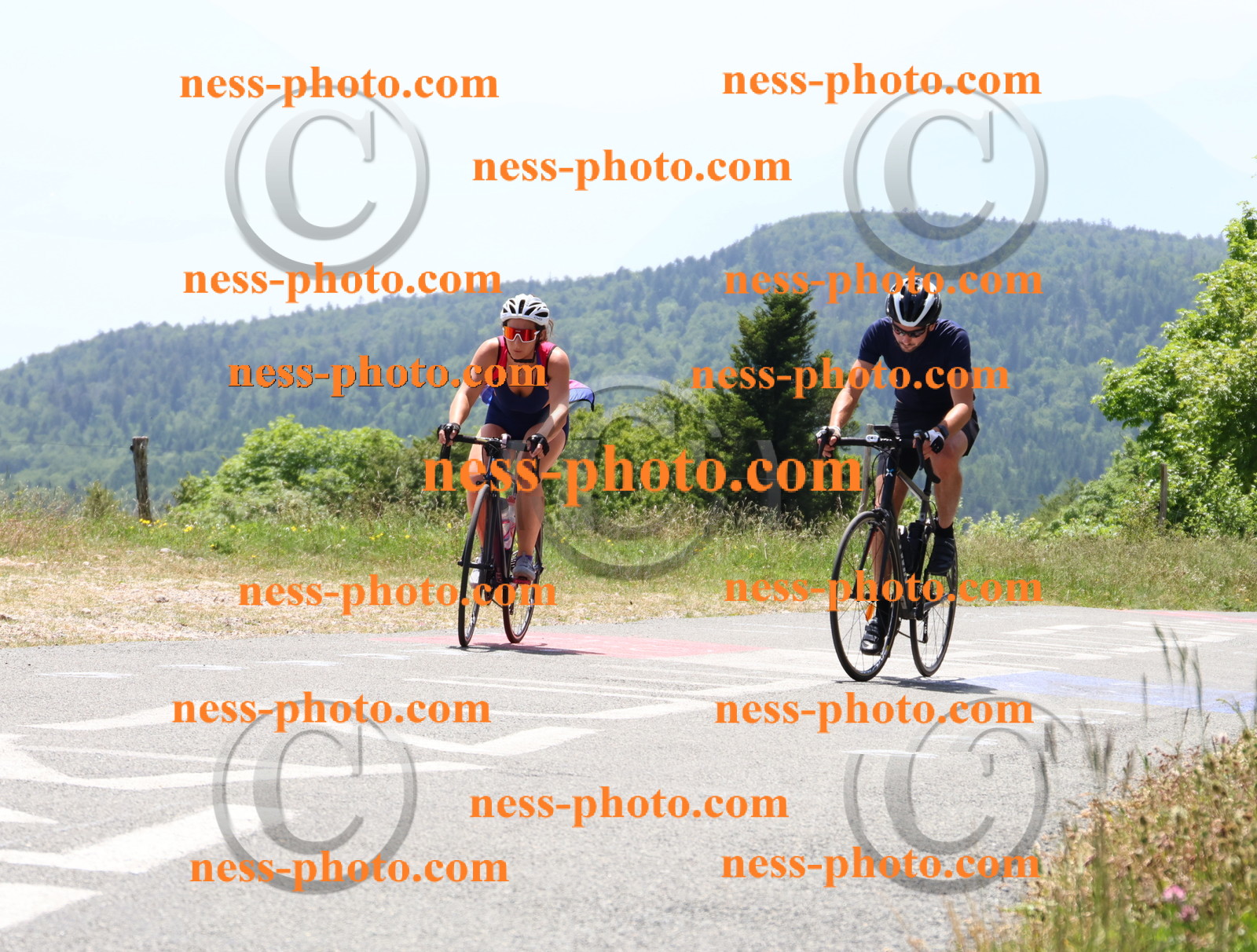 Col du grand Colombier (2819).JPG