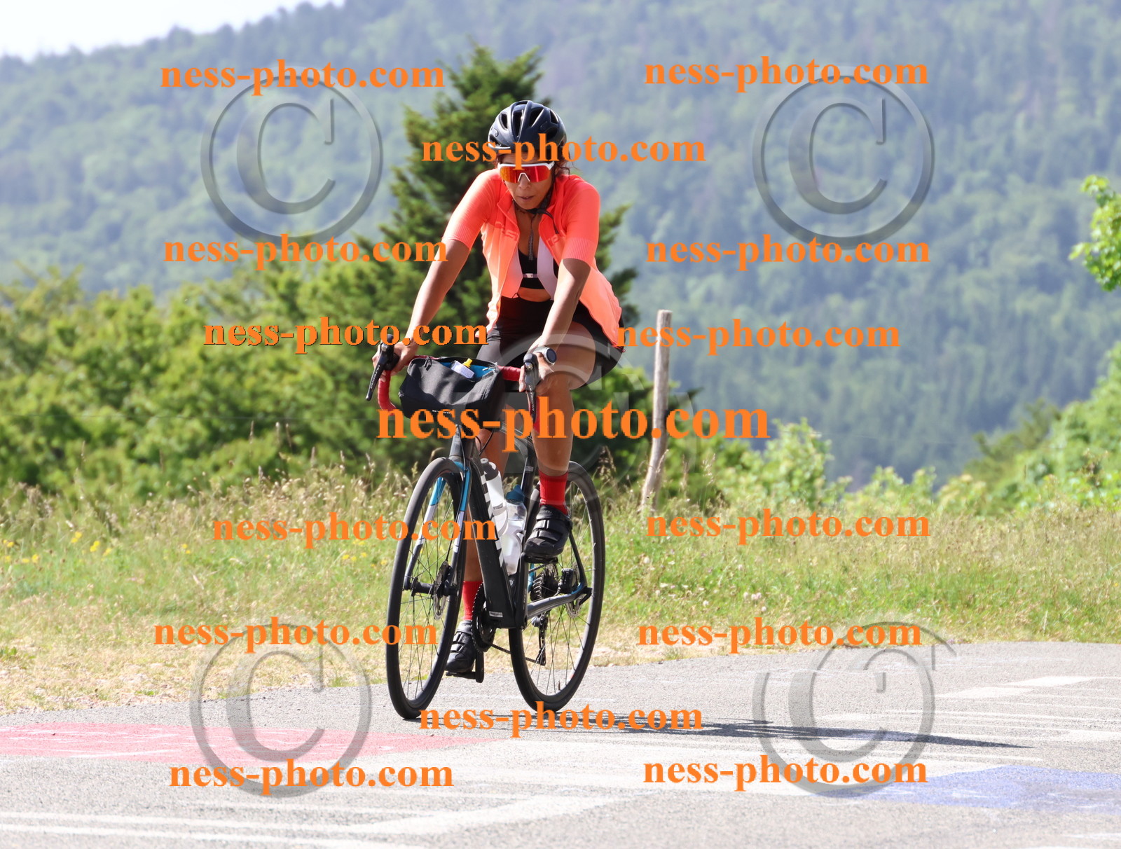 Col du grand Colombier (977).JPG