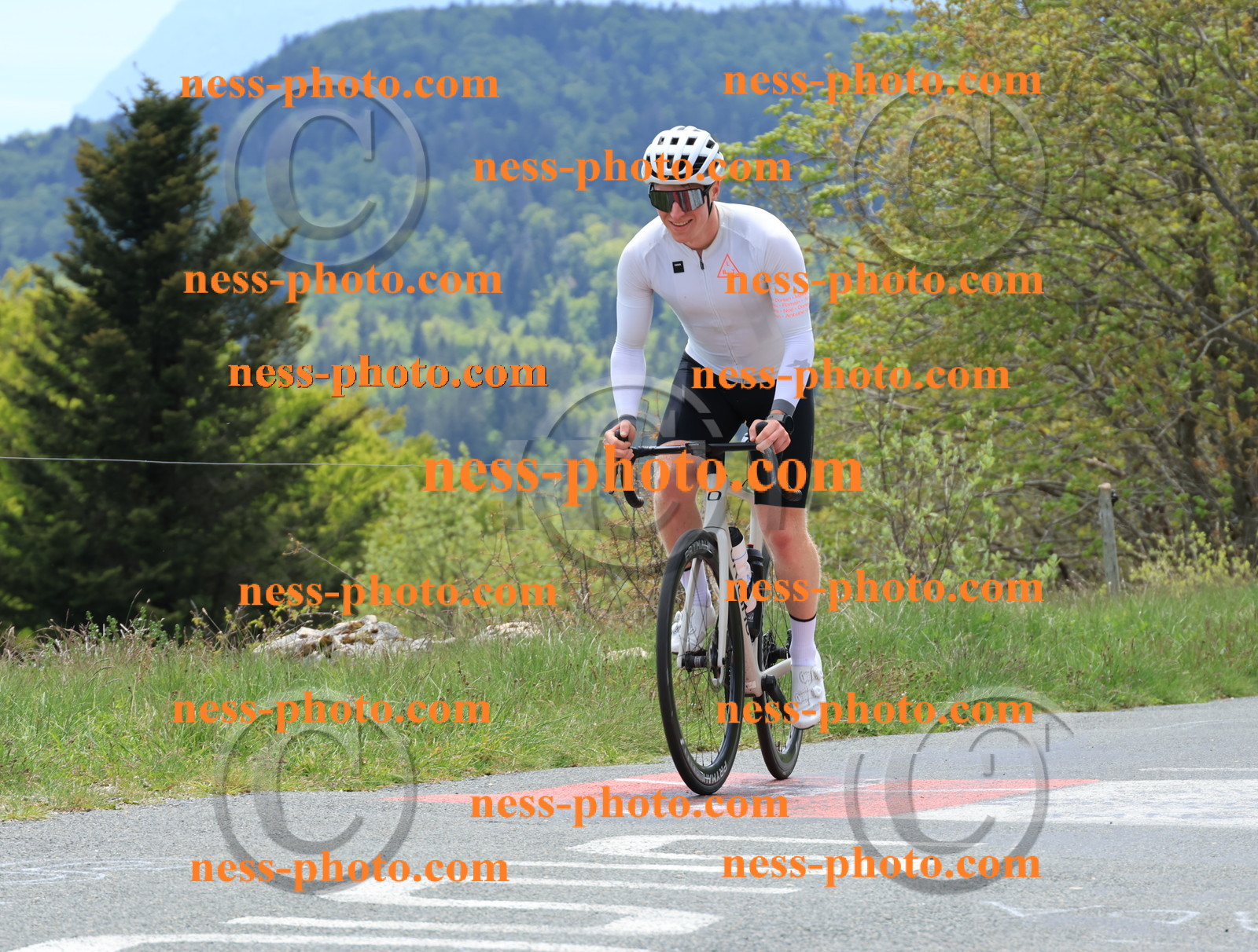 Col du Grand Colombier (459).JPG