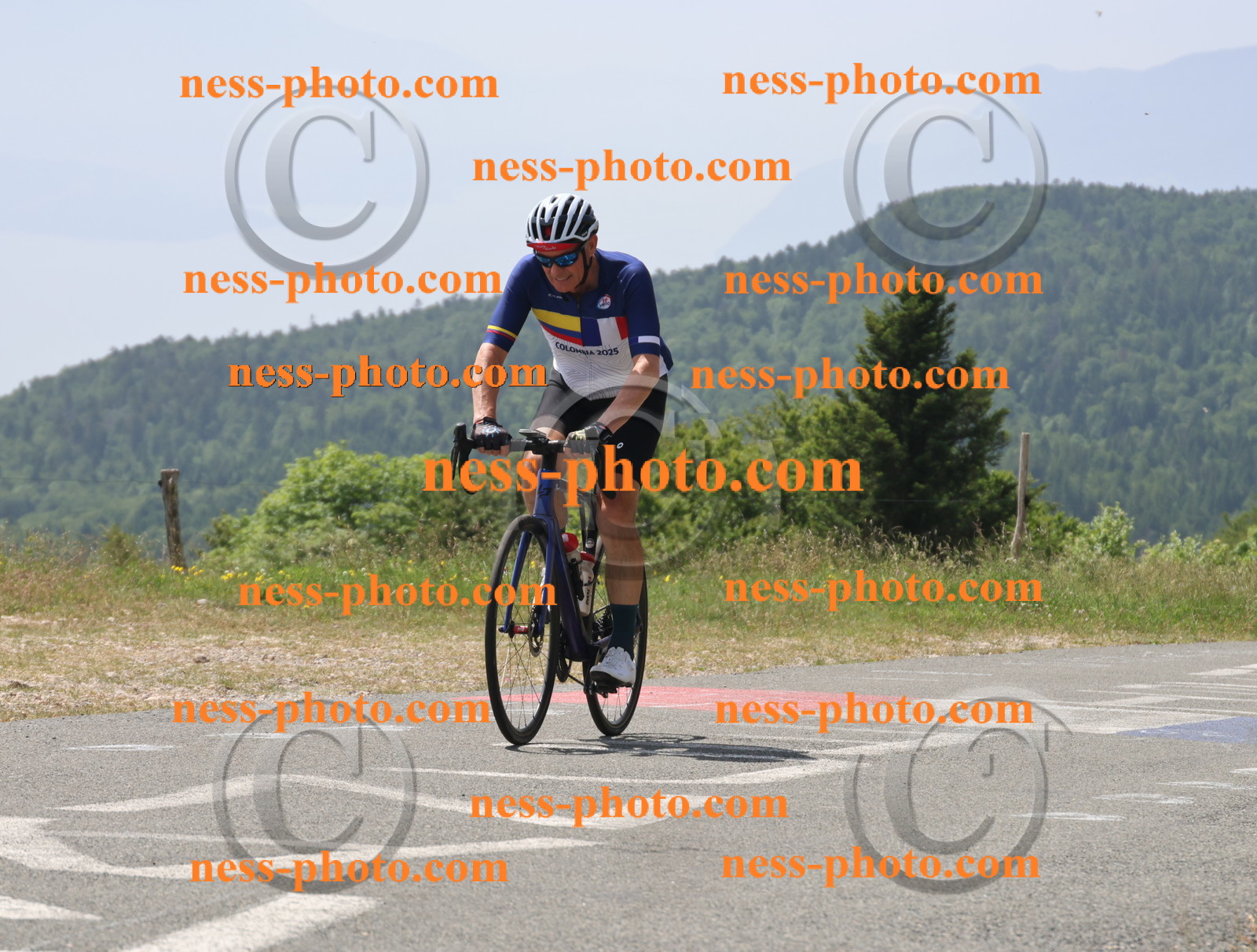 Col du grand Colombier (2172).JPG