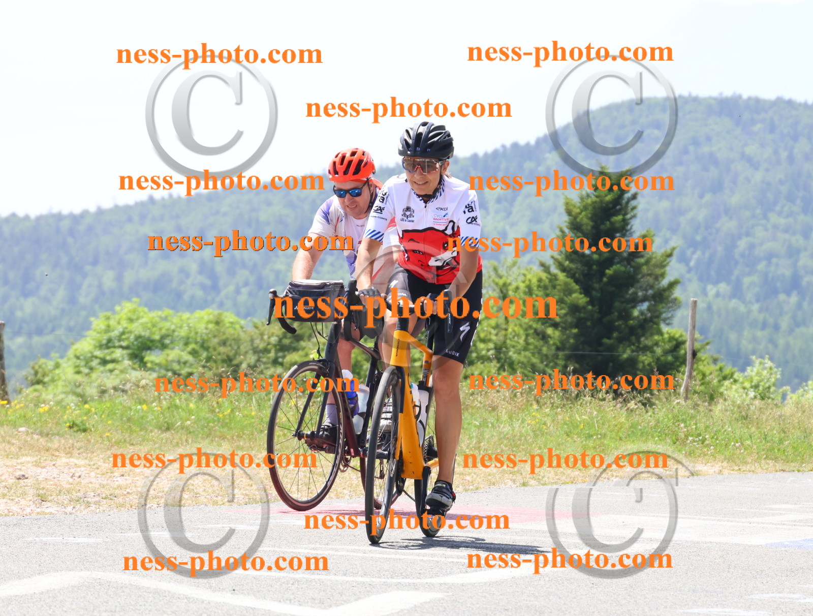 Col du grand Colombier (2551).JPG